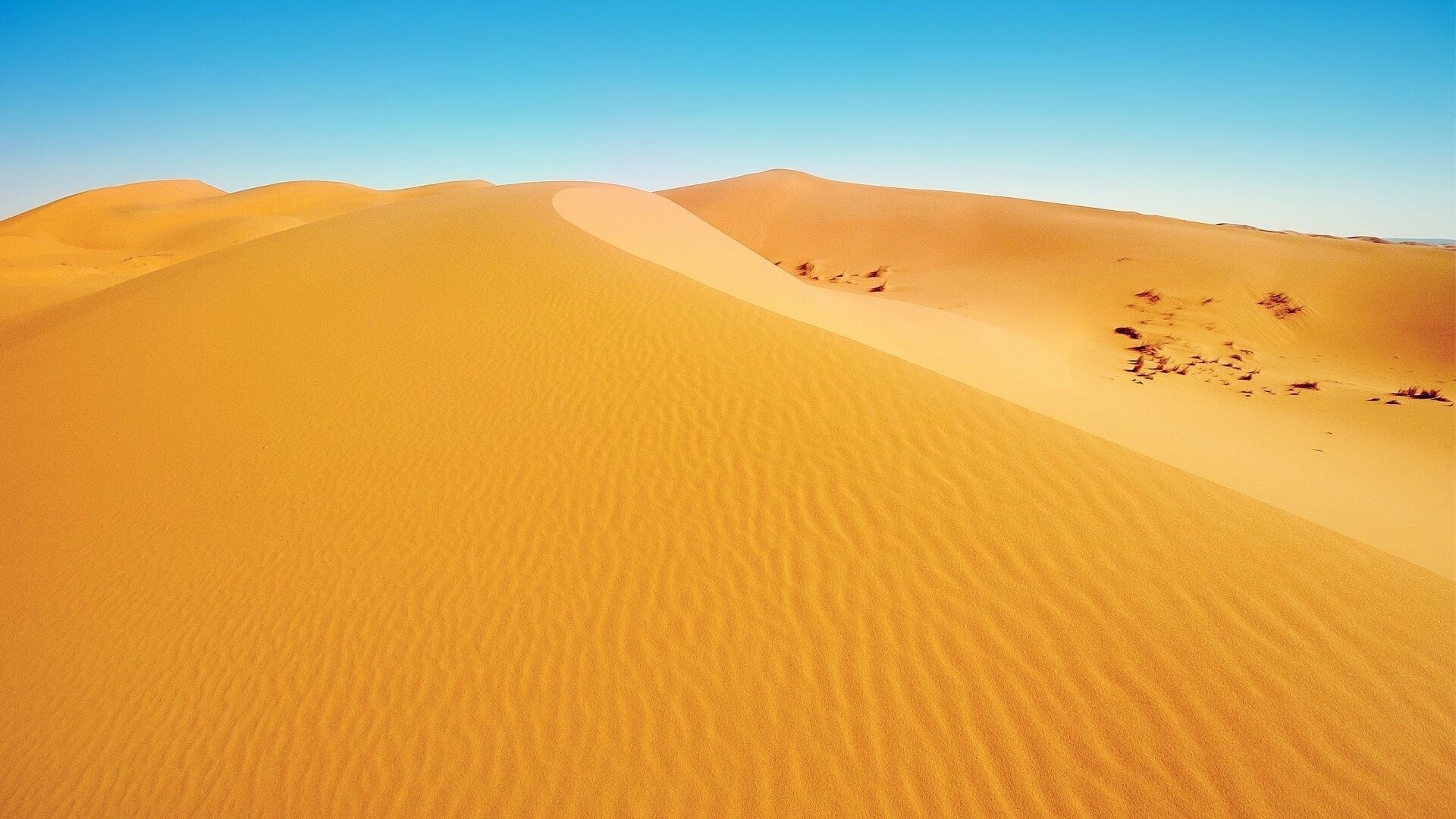 Sahara sand dunes, Rippled dune ridge, Clear blue sky Sahara sand dunes, Rippled dune ridge, Clear blue sky — 1920×1080 HD wallpaper