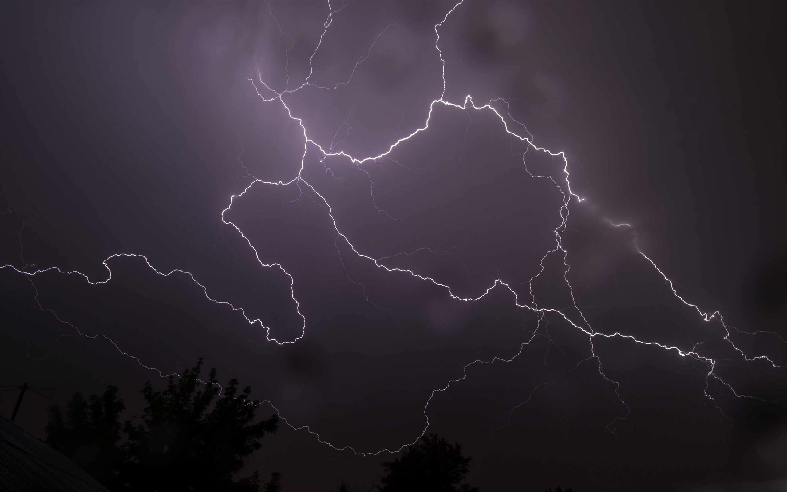 Branching lightning bolts, Dark stormy sky, Silhouetted tree rooftop Branching lightning bolts, Dark stormy sky, Silhouetted tree rooftop — 2560×1600 HD wallpaper