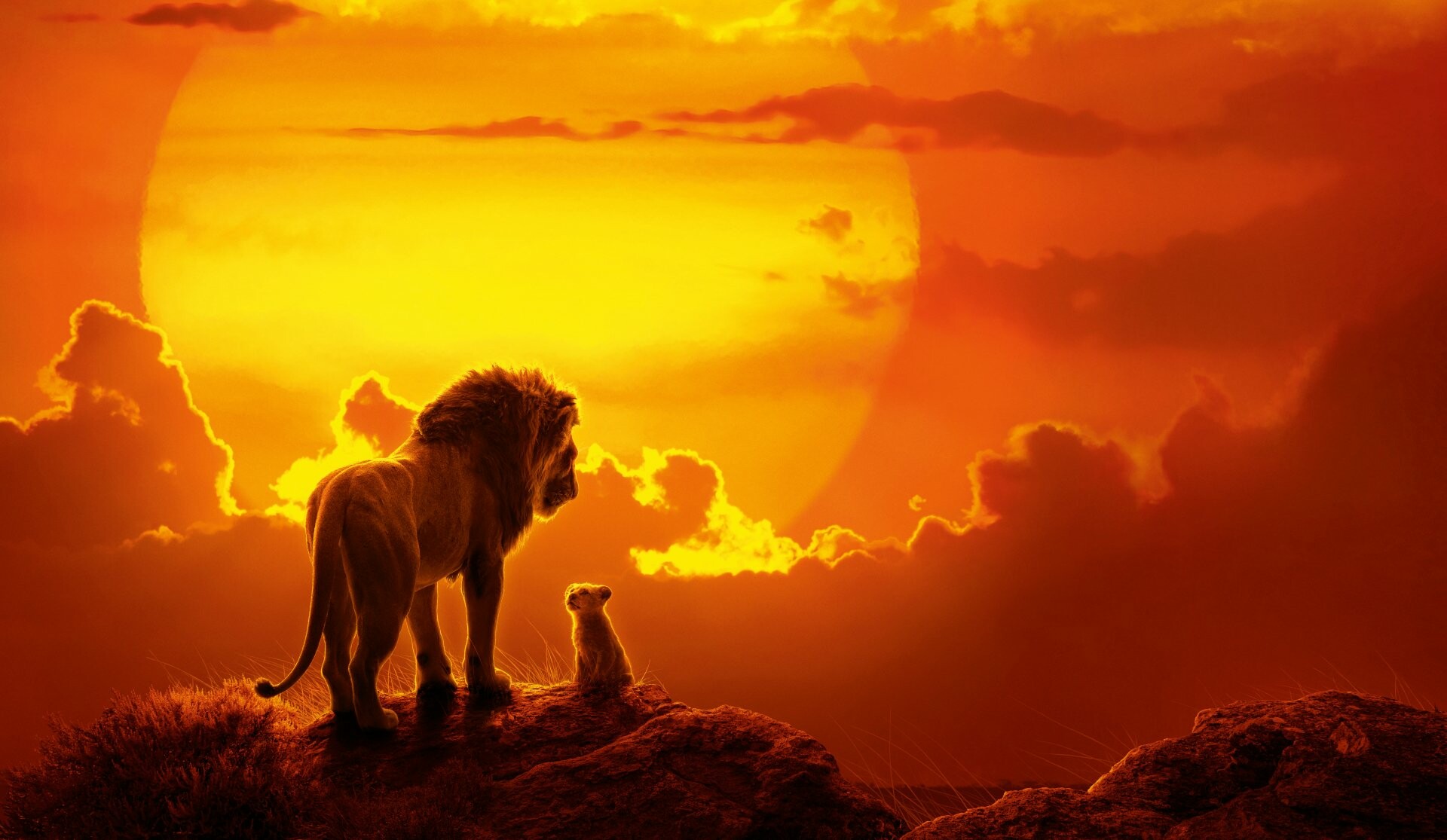 The Lion King (2019), Mufasa and Simba silhouette, Orange sunset sun, Pride Rock summit The Lion King (2019), Mufasa and Simba silhouette, Orange sunset sun, Pride Rock summit — 1920×1115 HD wallpaper