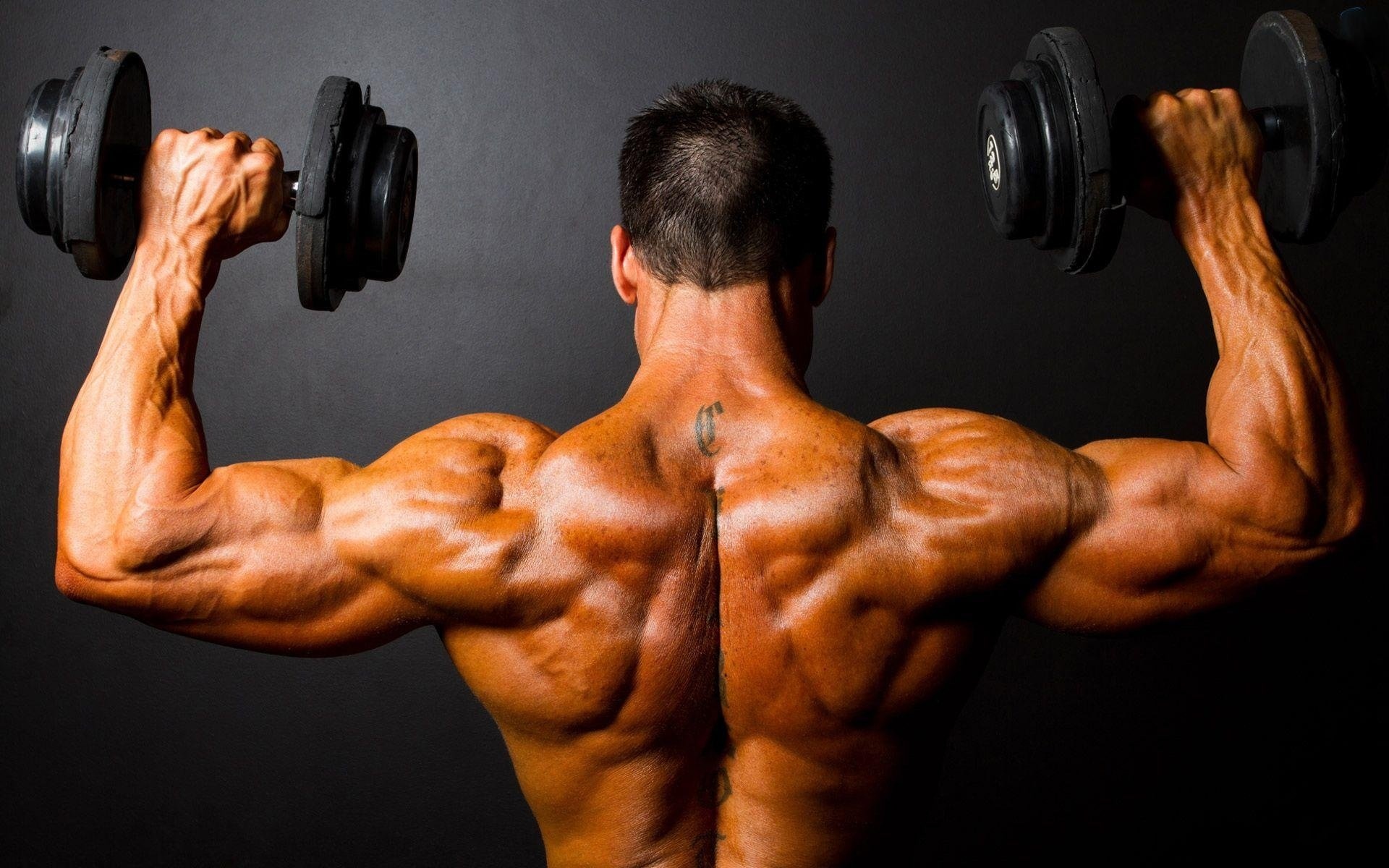 Muscular bodybuilder back view, Black dumbbells shoulder press, Dark studio backdrop Muscular bodybuilder back view, Black dumbbells shoulder press, Dark studio backdrop — 1920×1200 HD wallpaper