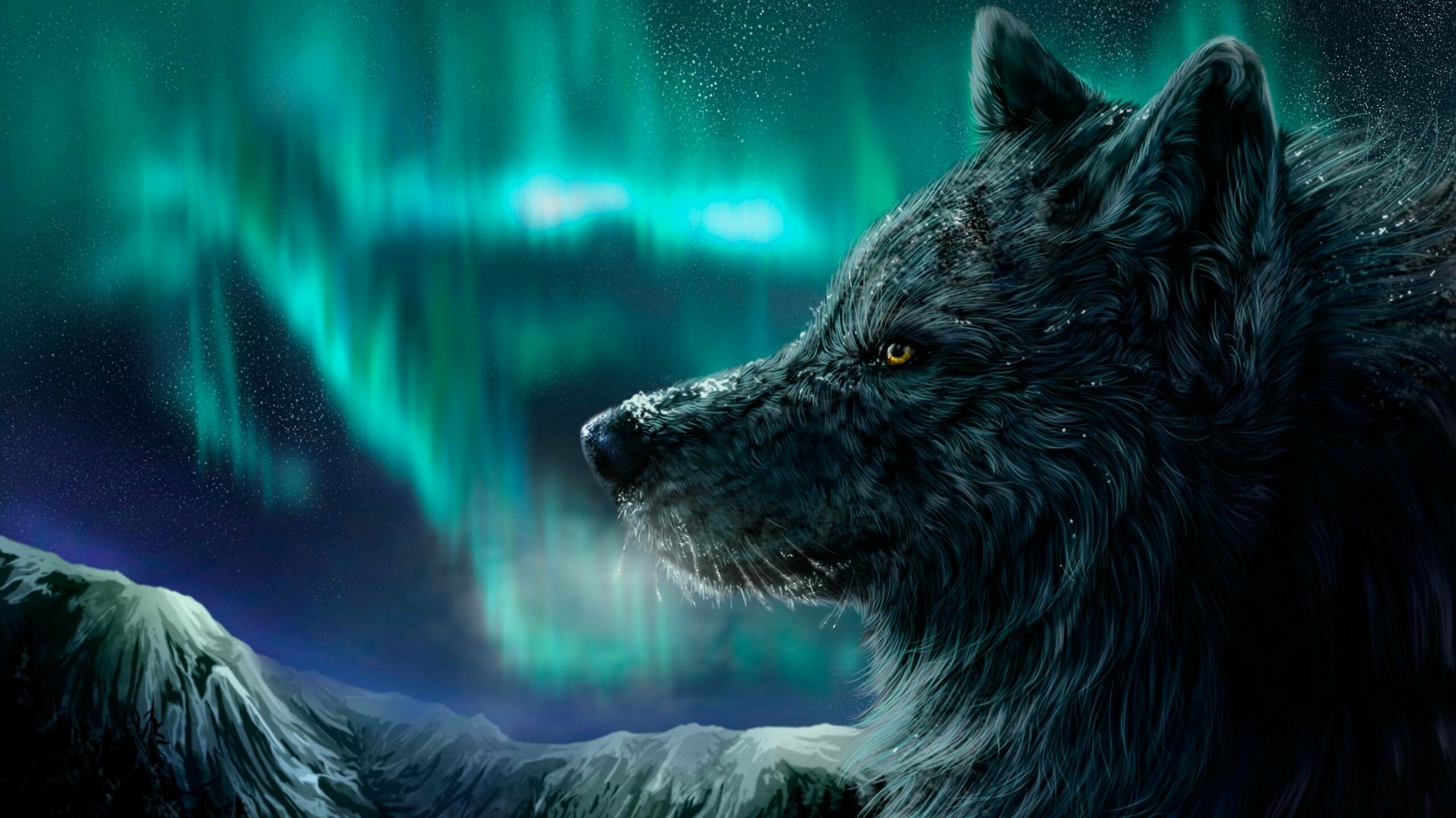 Black wolf profile, Green aurora borealis, Snowy mountain peaks Black wolf profile, Green aurora borealis, Snowy mountain peaks — 2560×1440 HD wallpaper