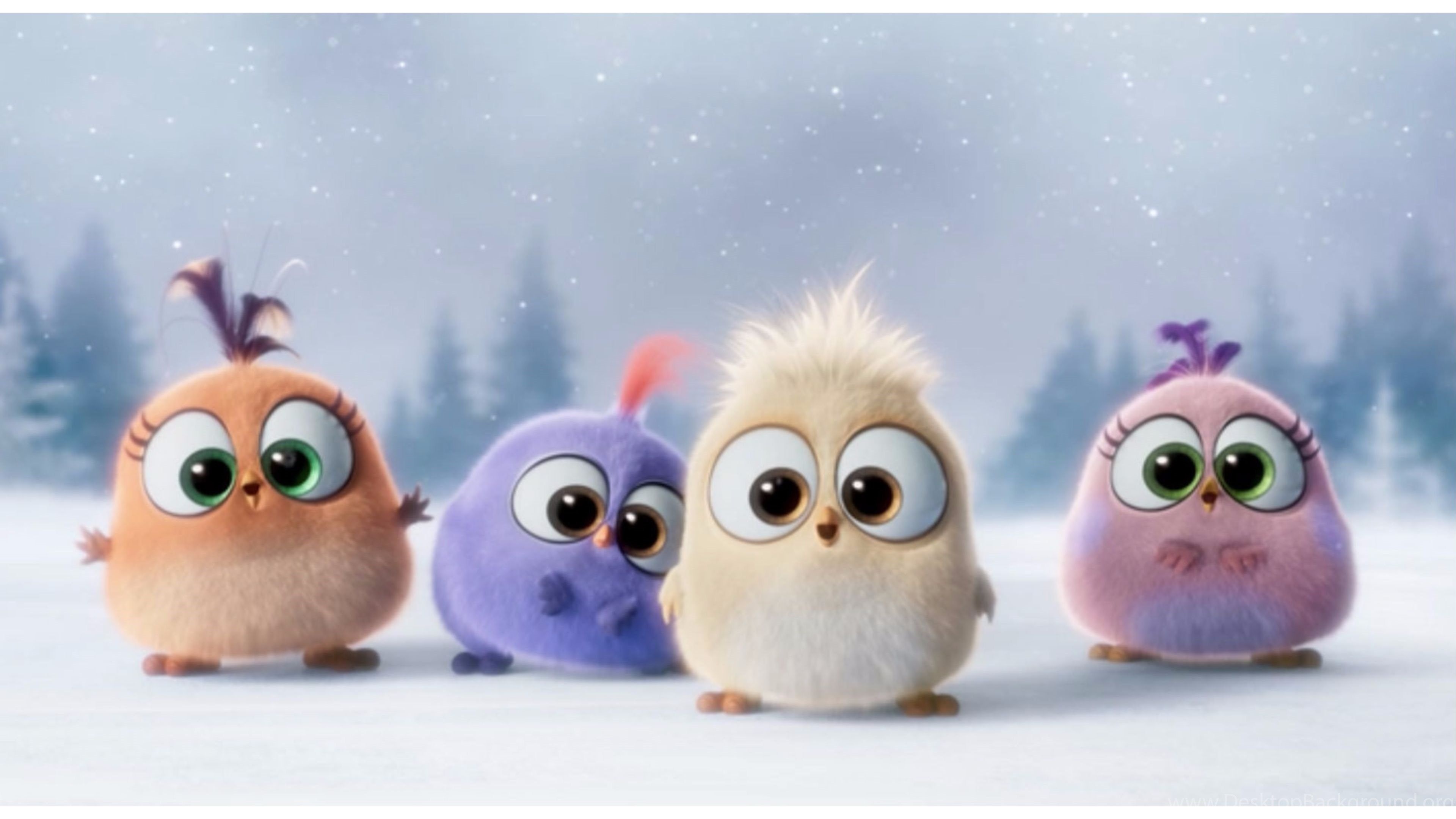 The Angry Birds Movie, Cute Backgrounds Wallpaper, 4K Desktop The Angry Birds Movie, Cute Backgrounds Wallpaper, 4K Desktop — 3840×2160 HD wallpaper