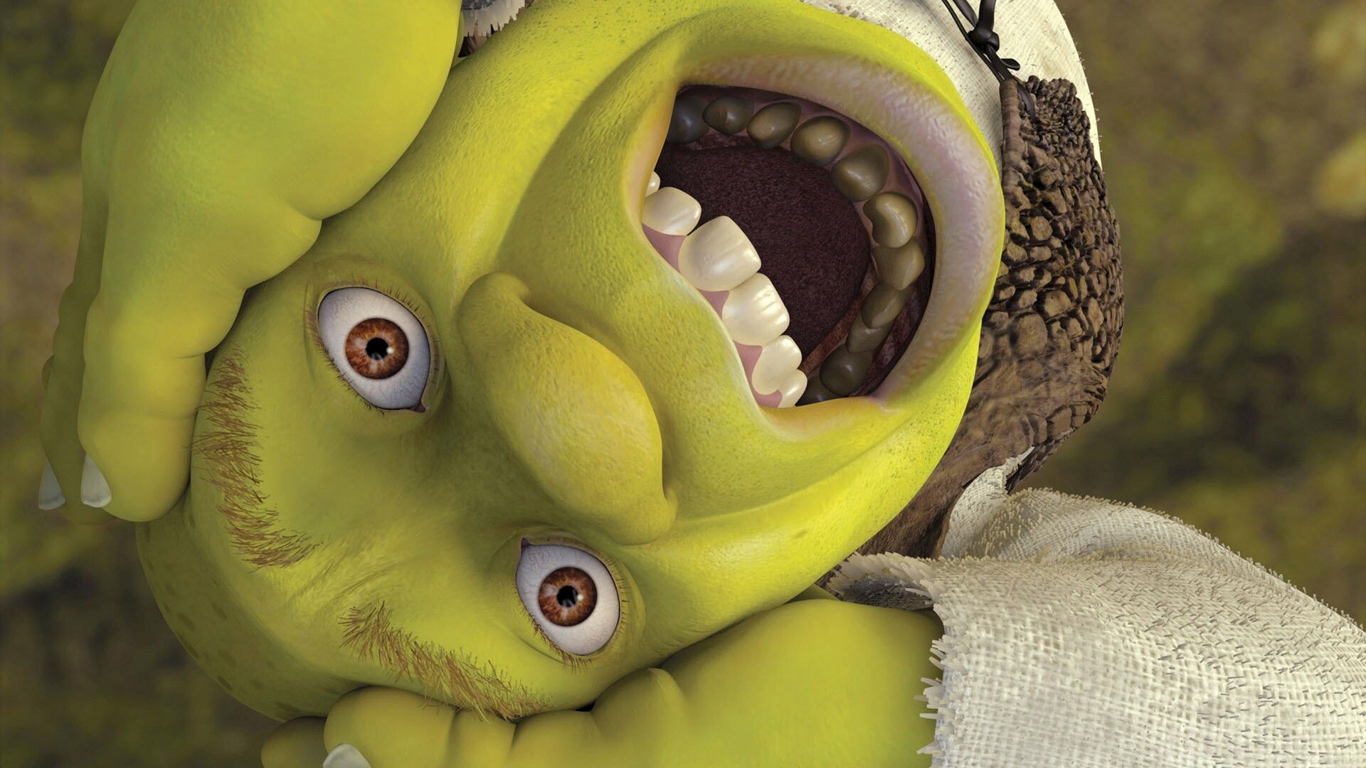 Shrek screaming close-up, Upside-down ogre face, Green swamp tones Shrek screaming close-up, Upside-down ogre face, Green swamp tones — 1920×1080 HD wallpaper