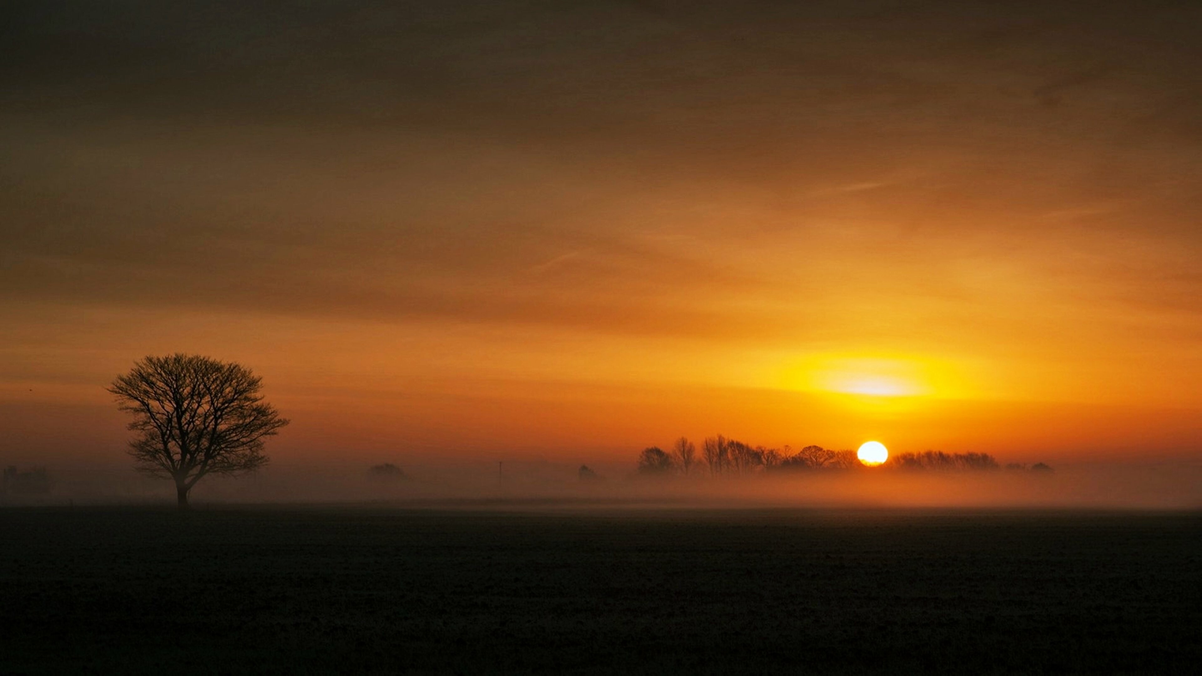 Lone bare tree silhouette, Misty farmland field, Golden sun on horizon Lone bare tree silhouette, Misty farmland field, Golden sun on horizon — 3840×2160 HD wallpaper