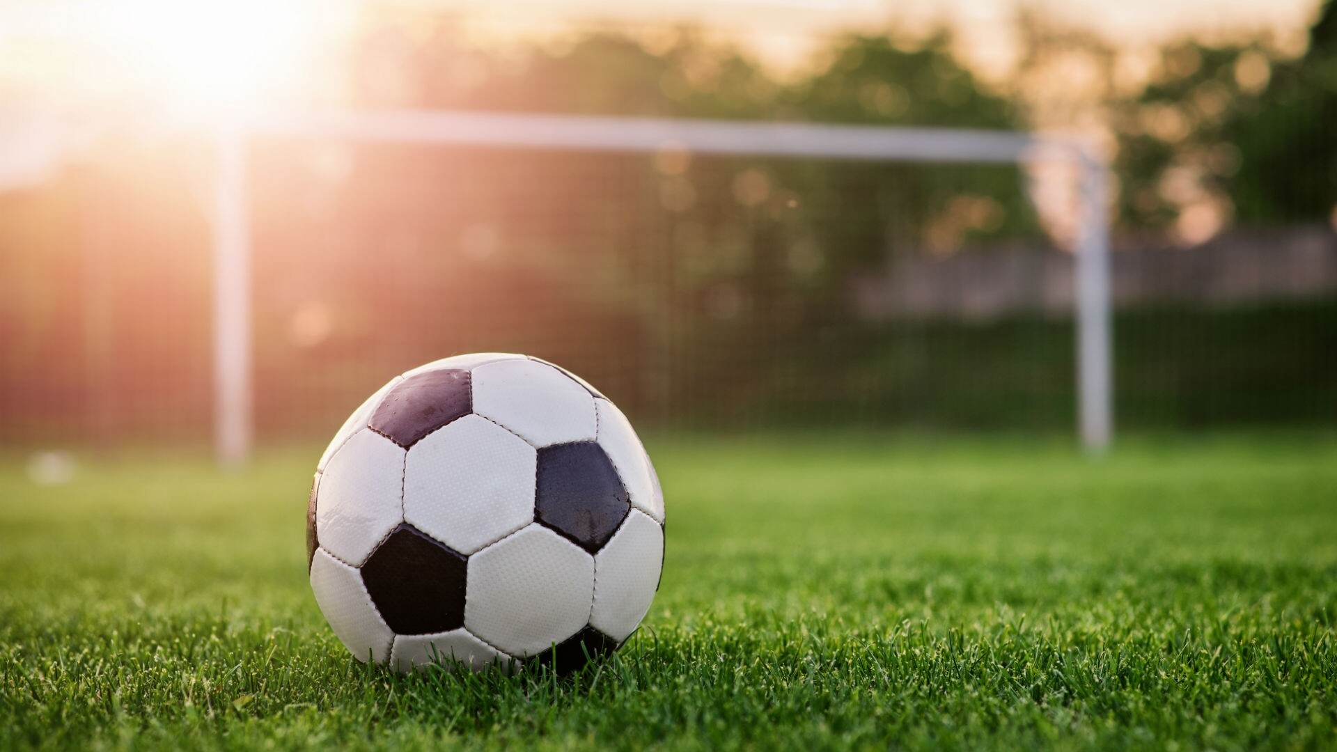 Black-white soccer ball, Goalpost with net, Sunlit grass pitch Black-white soccer ball, Goalpost with net, Sunlit grass pitch — 1920×1080 HD wallpaper