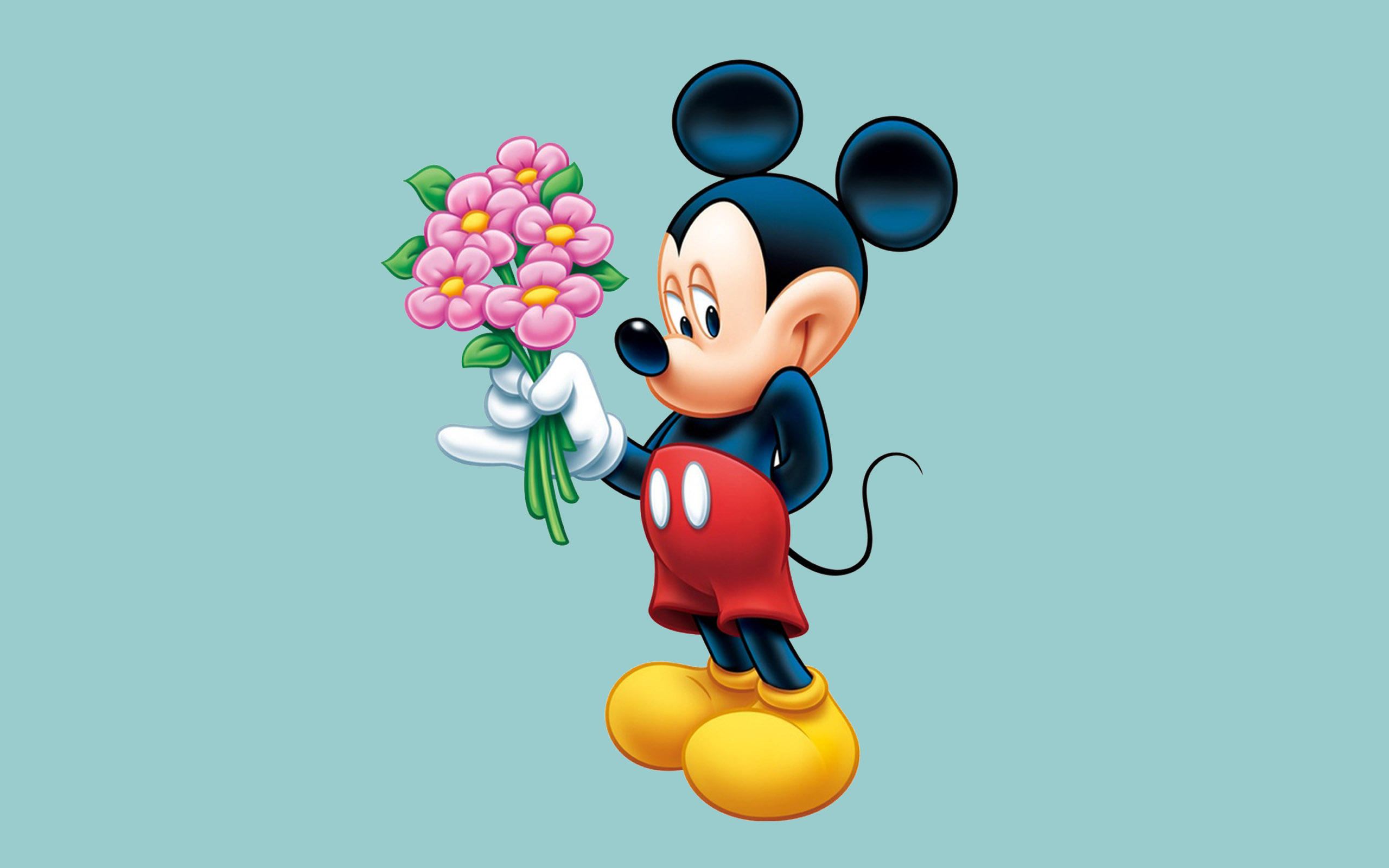 Mickey Mouse, Pink flower bouquet, Teal background Mickey Mouse, Pink flower bouquet, Teal background — 2560×1600 HD wallpaper