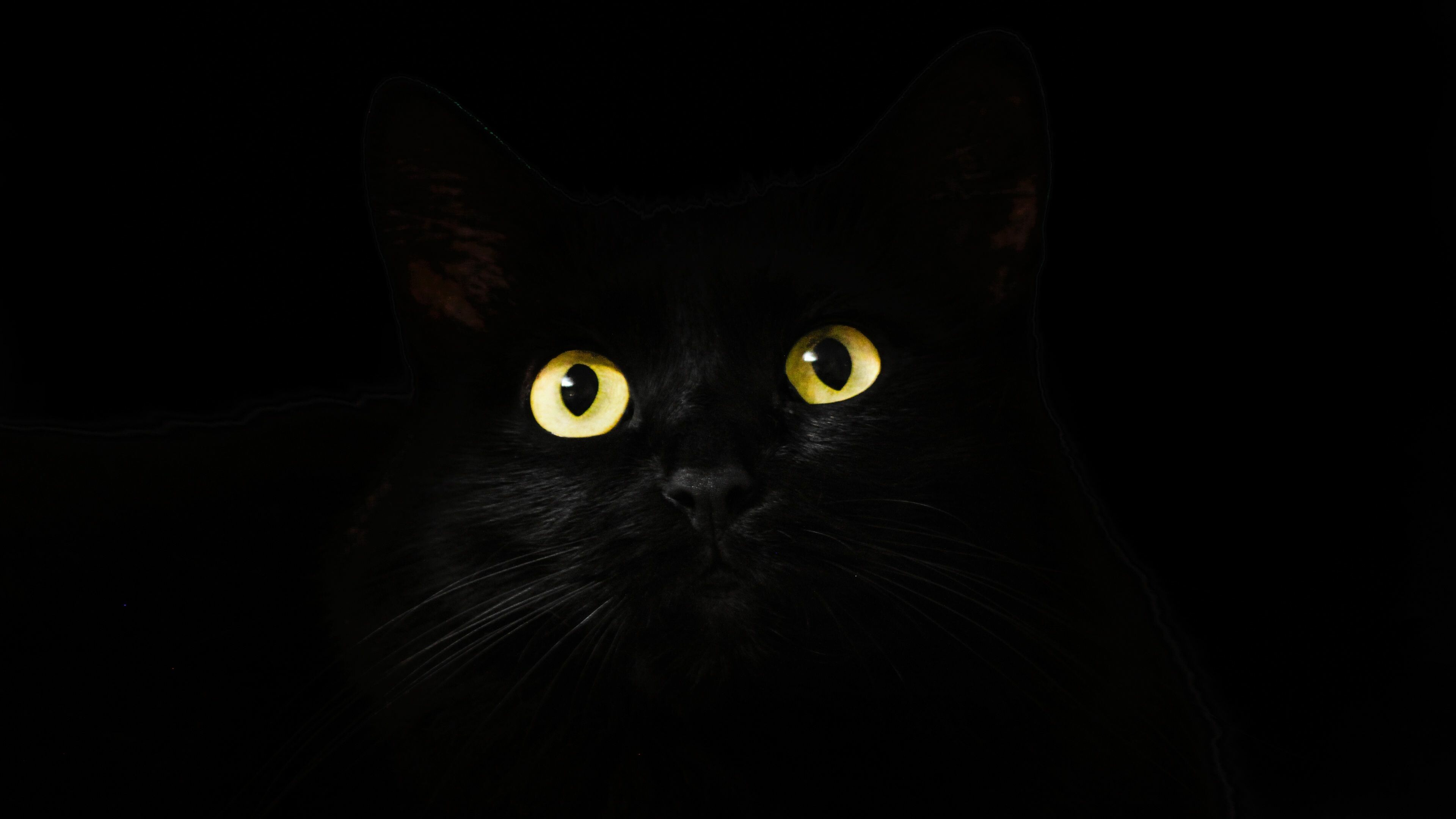 Black cat, Glowing yellow eyes, Dark background Black cat, Glowing yellow eyes, Dark background — 3840×2160 HD wallpaper