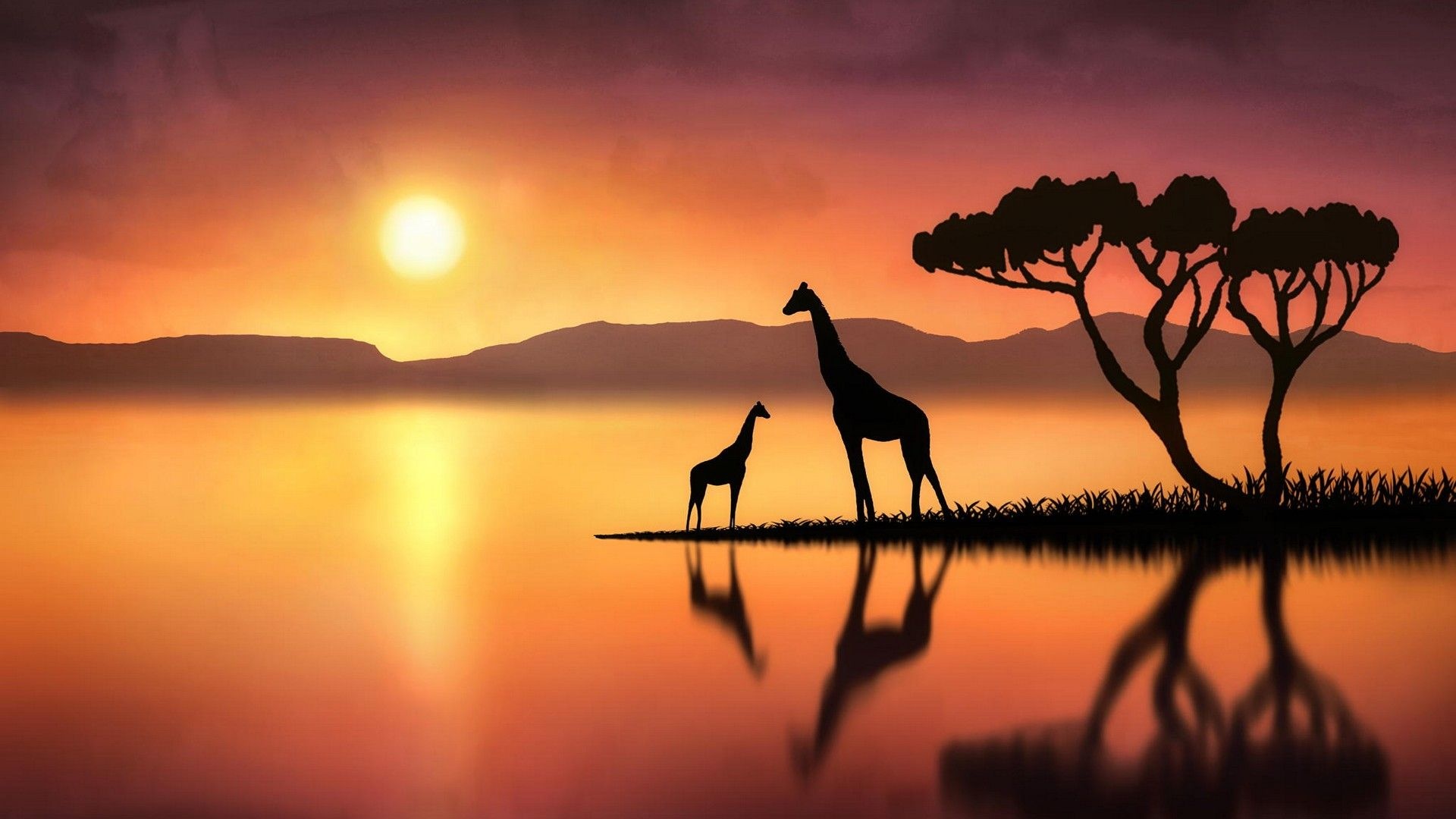 Giraffe silhouettes at sunset, Acacia tree silhouette, Reflective lake savanna Giraffe silhouettes at sunset, Acacia tree silhouette, Reflective lake savanna — 1920×1080 HD wallpaper