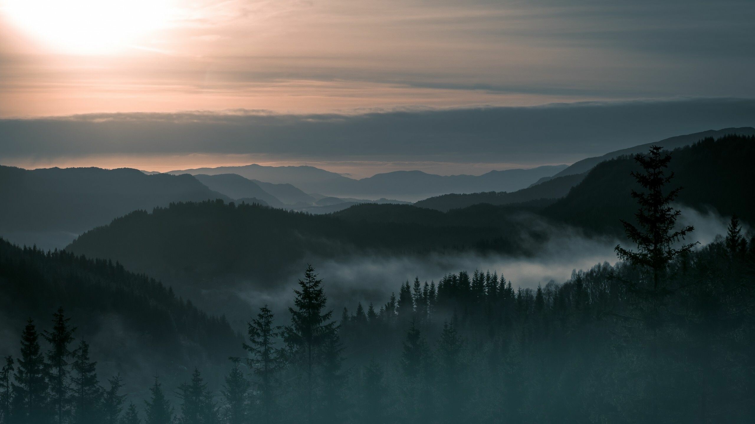 Misty pine forest ridges, Layered mountain silhouettes, Sunrise cloudy sky Misty pine forest ridges, Layered mountain silhouettes, Sunrise cloudy sky — 2560×1440 HD wallpaper