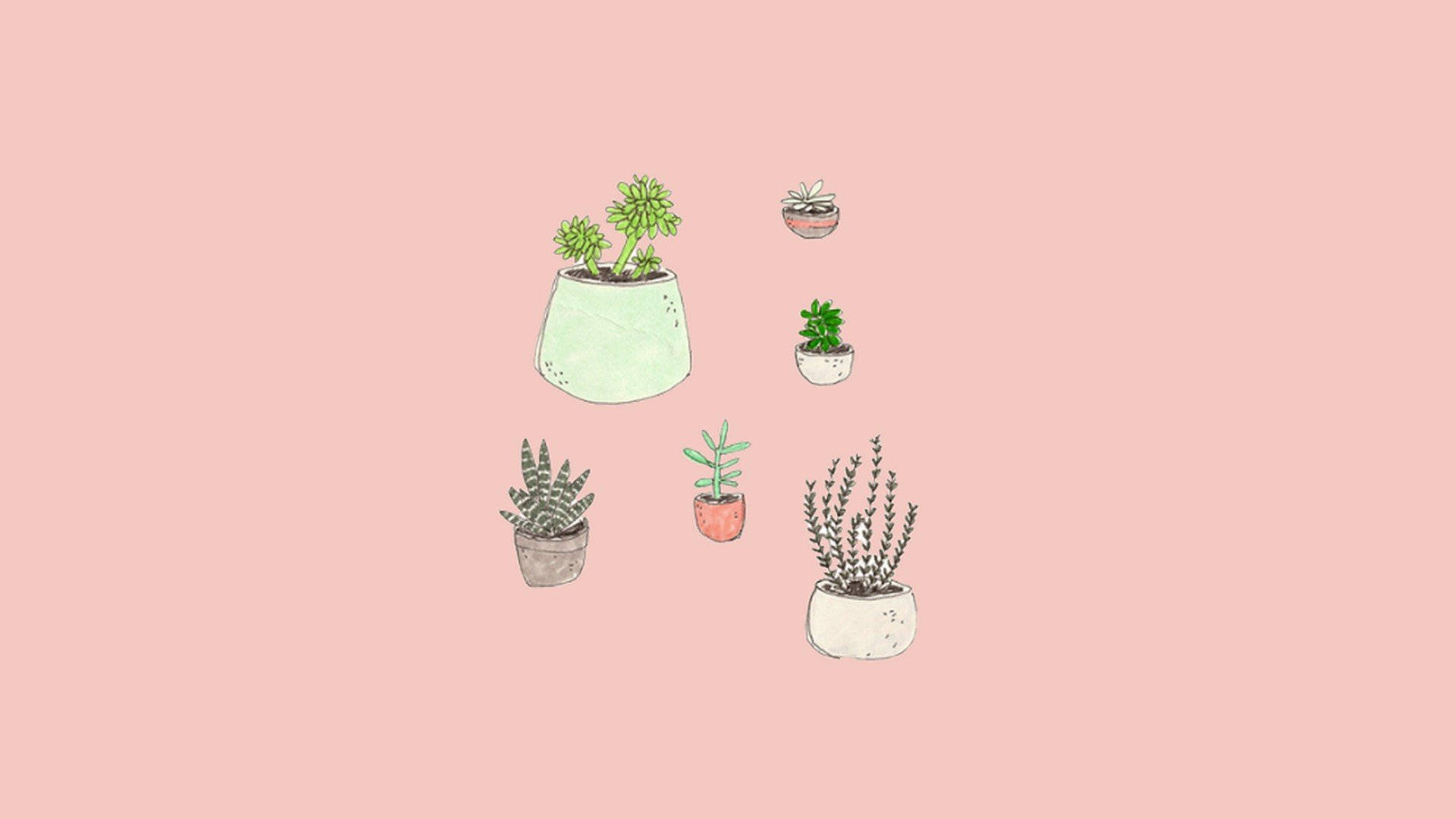 Plants, Cute Pink Wallpaper, Full HD Desktop Plants, Cute Pink Wallpaper, Full HD Desktop — 1920×1080 HD wallpaper