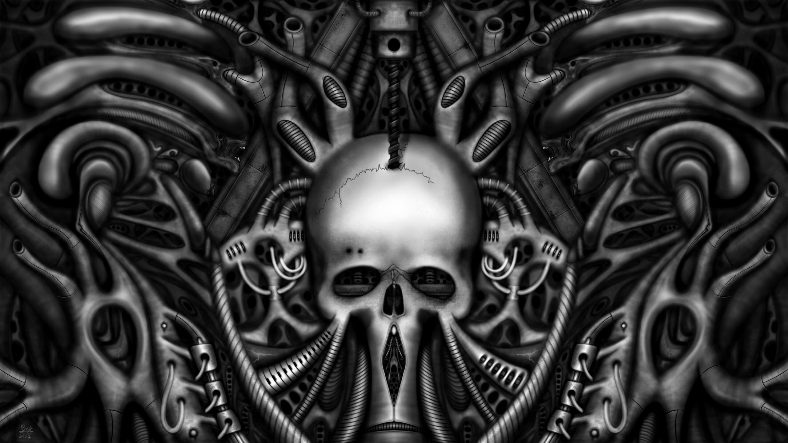 Giger biomechanical skull, Ribbed tubing coils, Symmetrical monochrome Giger biomechanical skull, Ribbed tubing coils, Symmetrical monochrome — 2560×1440 HD wallpaper