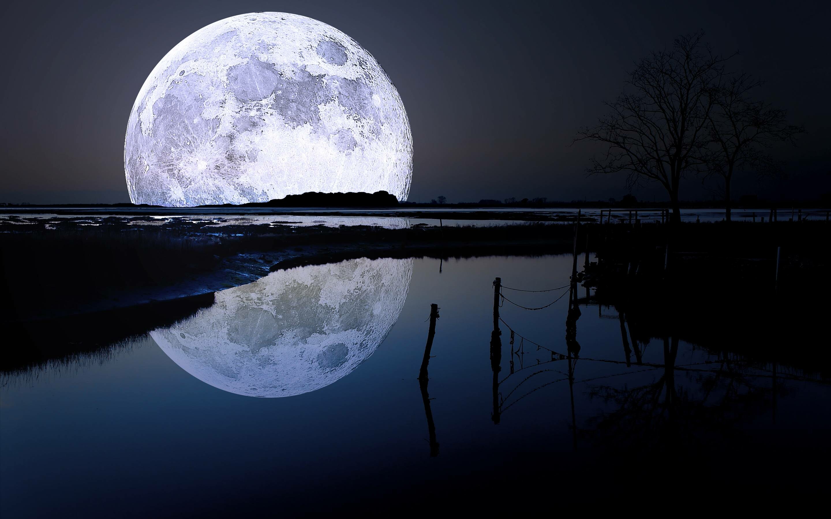 Full moon over lake, Water reflection, Bare tree silhouette Full moon over lake, Water reflection, Bare tree silhouette — 2880×1800 HD wallpaper