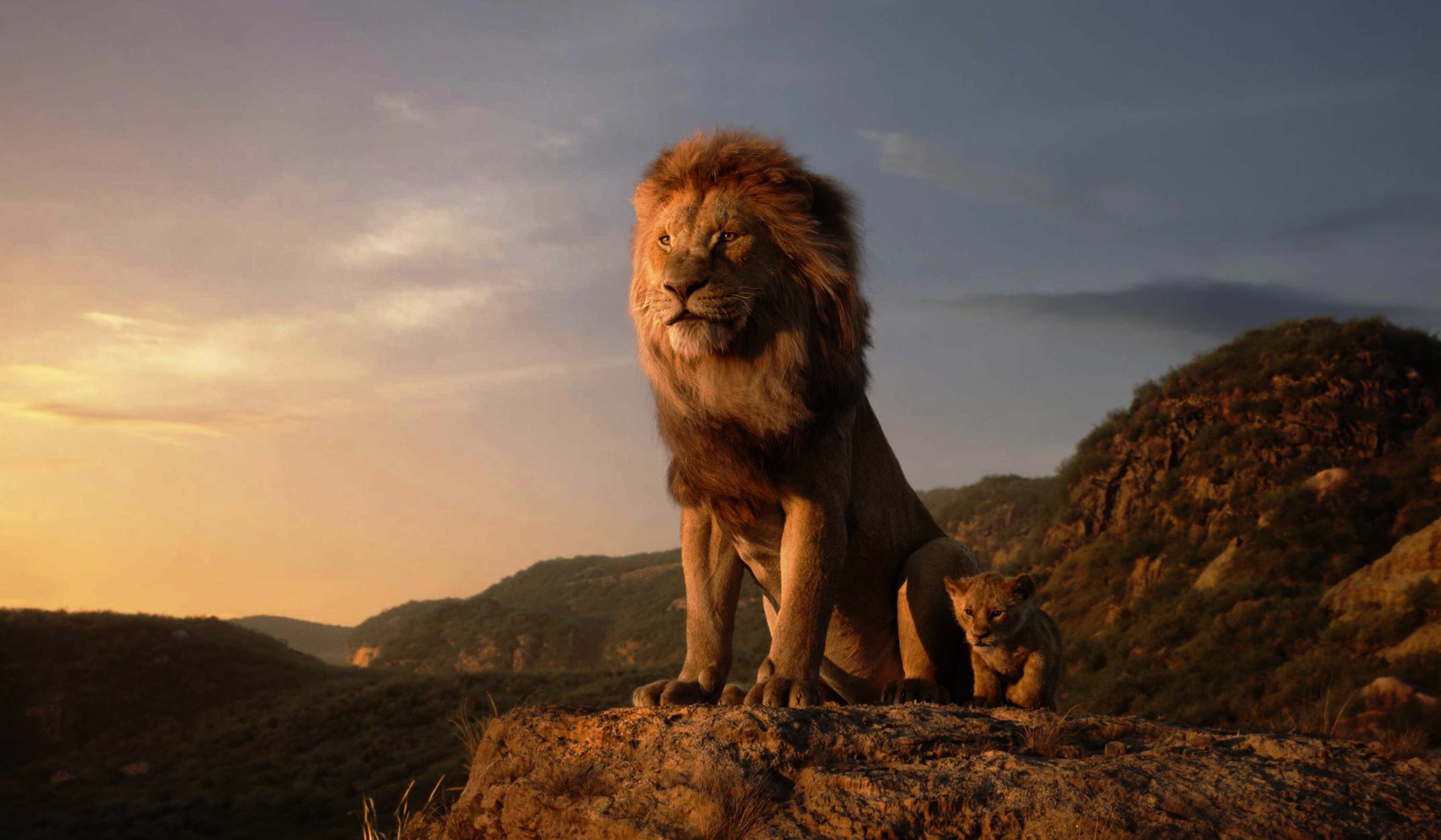 The Lion King (2019), Adult lion with cub, Pride Rock at sunset, Savanna golden hour The Lion King (2019), Adult lion with cub, Pride Rock at sunset, Savanna golden hour — 3000×1749 HD wallpaper