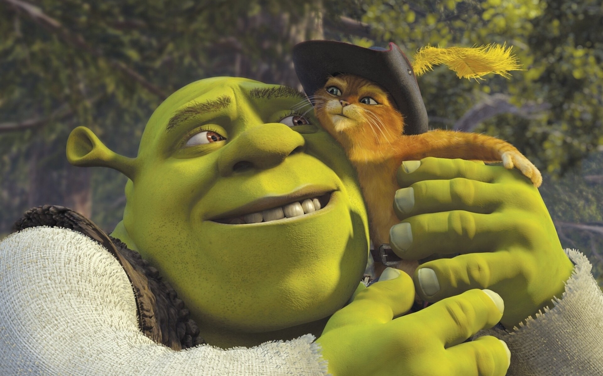 Shrek and Puss in Boots, Shrek Wallpaper, HD Desktop Shrek and Puss in Boots, Shrek Wallpaper, HD Desktop — 1920×1200 HD wallpaper