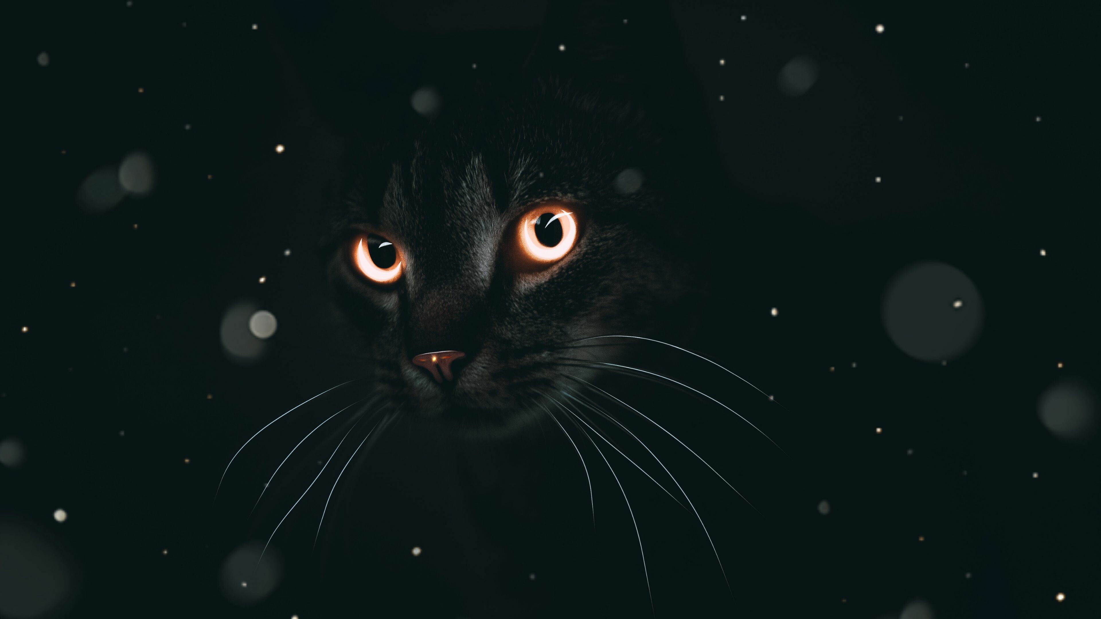 Black cat, Glowing amber eyes, Dark bokeh background Black cat, Glowing amber eyes, Dark bokeh background — 3840×2160 HD wallpaper