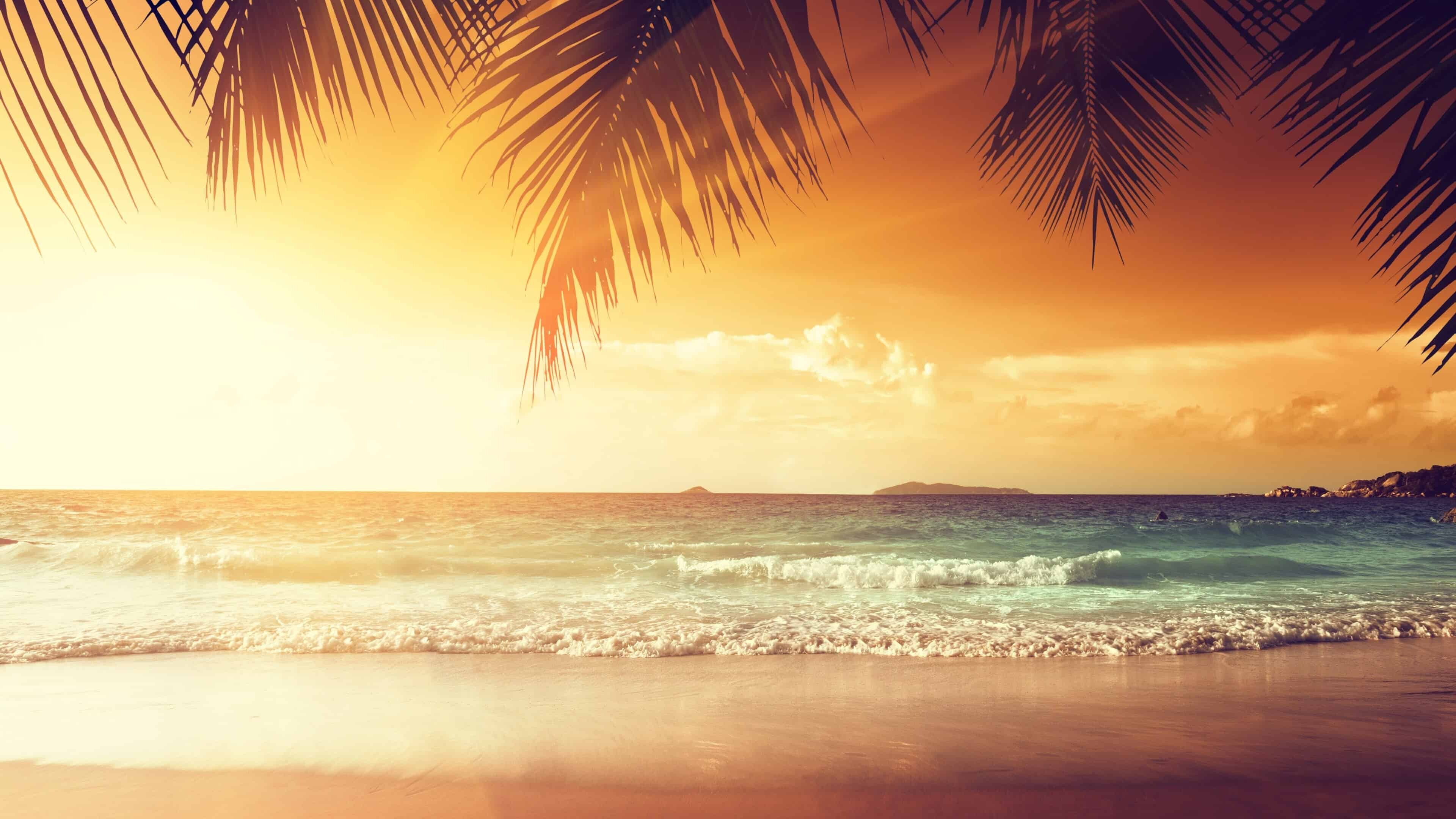 Palm frond silhouette, Tropical sunset beach, Turquoise ocean waves — 3840×2160 HD wallpaper