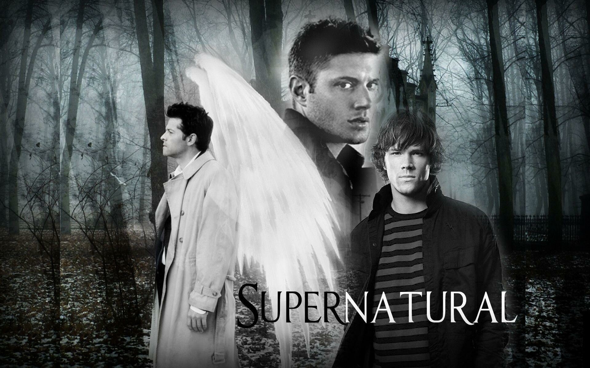 Castiel with angel wings, Dean Winchester, Sam Winchester, Misty winter forest Castiel with angel wings, Dean Winchester, Sam Winchester, Misty winter forest — 1920×1200 HD wallpaper