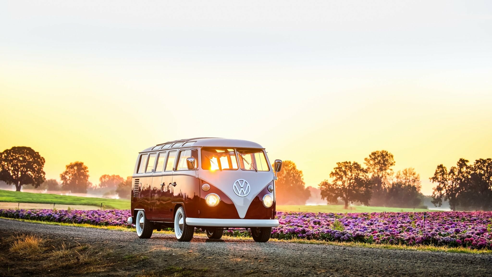 Volkswagen Type 2 Samba, Sunset flower field, Gravel countryside road Volkswagen Type 2 Samba, Sunset flower field, Gravel countryside road — 2048×1152 HD wallpaper