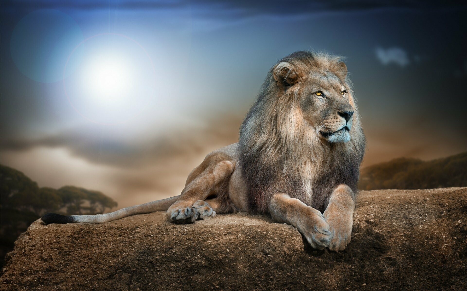 Male lion reclining, Rocky ledge, Sunburst sky Male lion reclining, Rocky ledge, Sunburst sky — 1920×1200 HD wallpaper