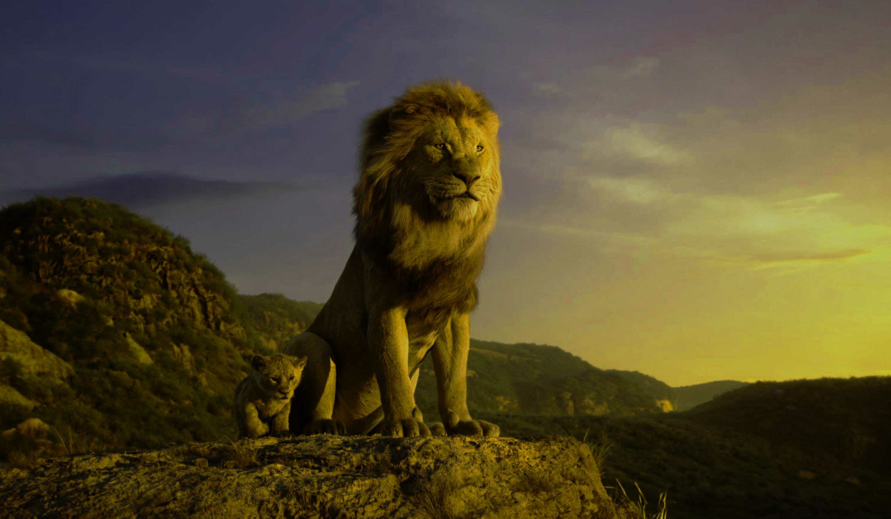 Mufasa adult lion, Simba cub, Pride Rock cliff — 3000×1749 HD wallpaper