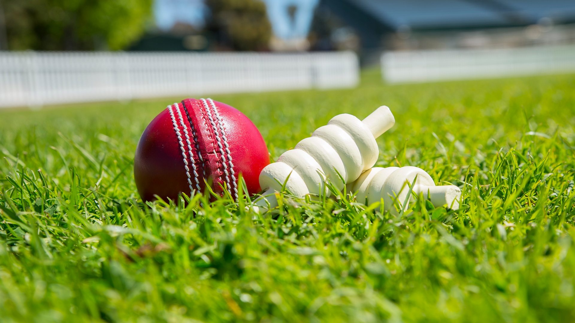 Red leather cricket ball, White wooden bails, Sunlit grass pitch Red leather cricket ball, White wooden bails, Sunlit grass pitch — 1920×1080 HD wallpaper