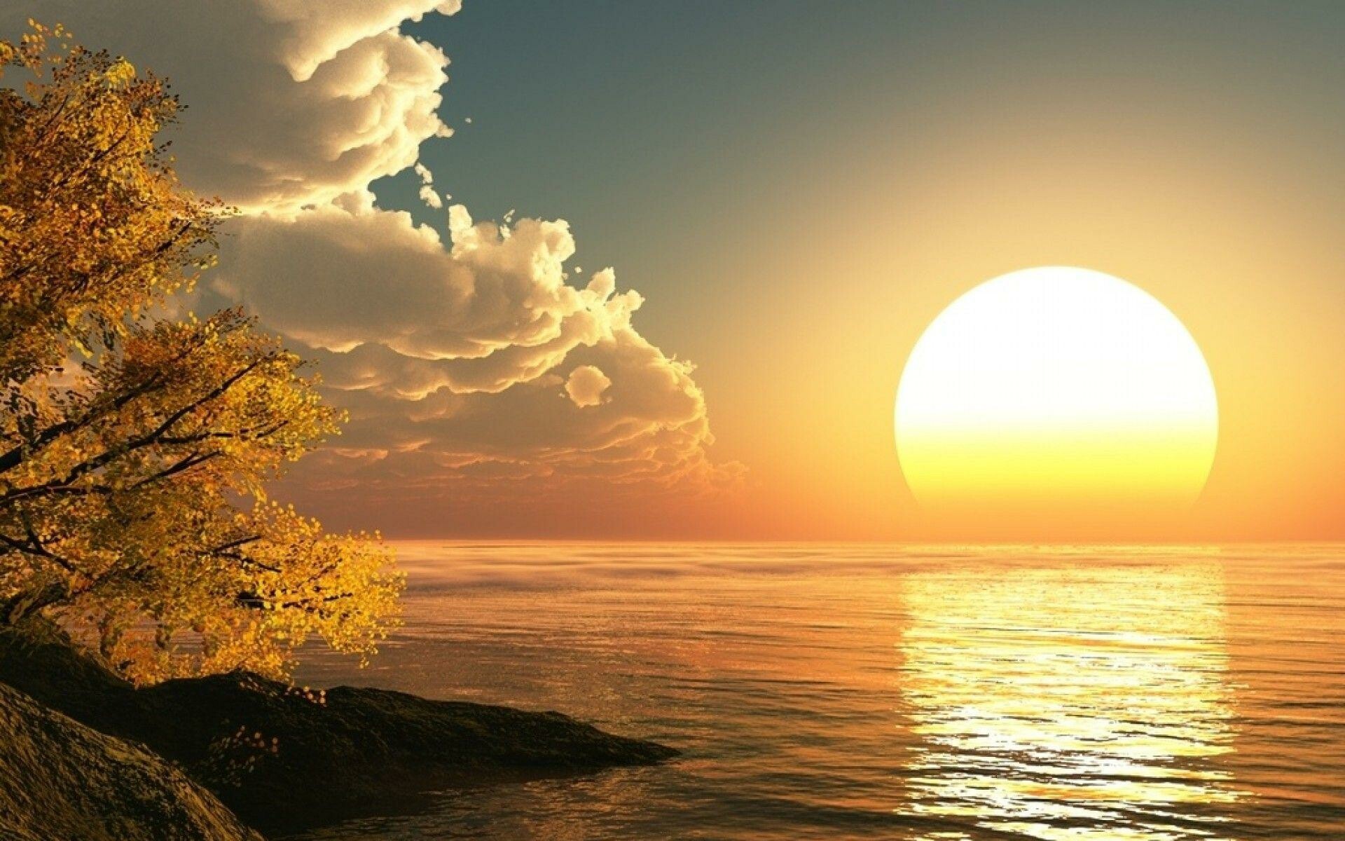 Golden sun over ocean horizon, Autumn tree on rocky shore, Orange reflected sun path Golden sun over ocean horizon, Autumn tree on rocky shore, Orange reflected sun path — 1920×1200 HD wallpaper