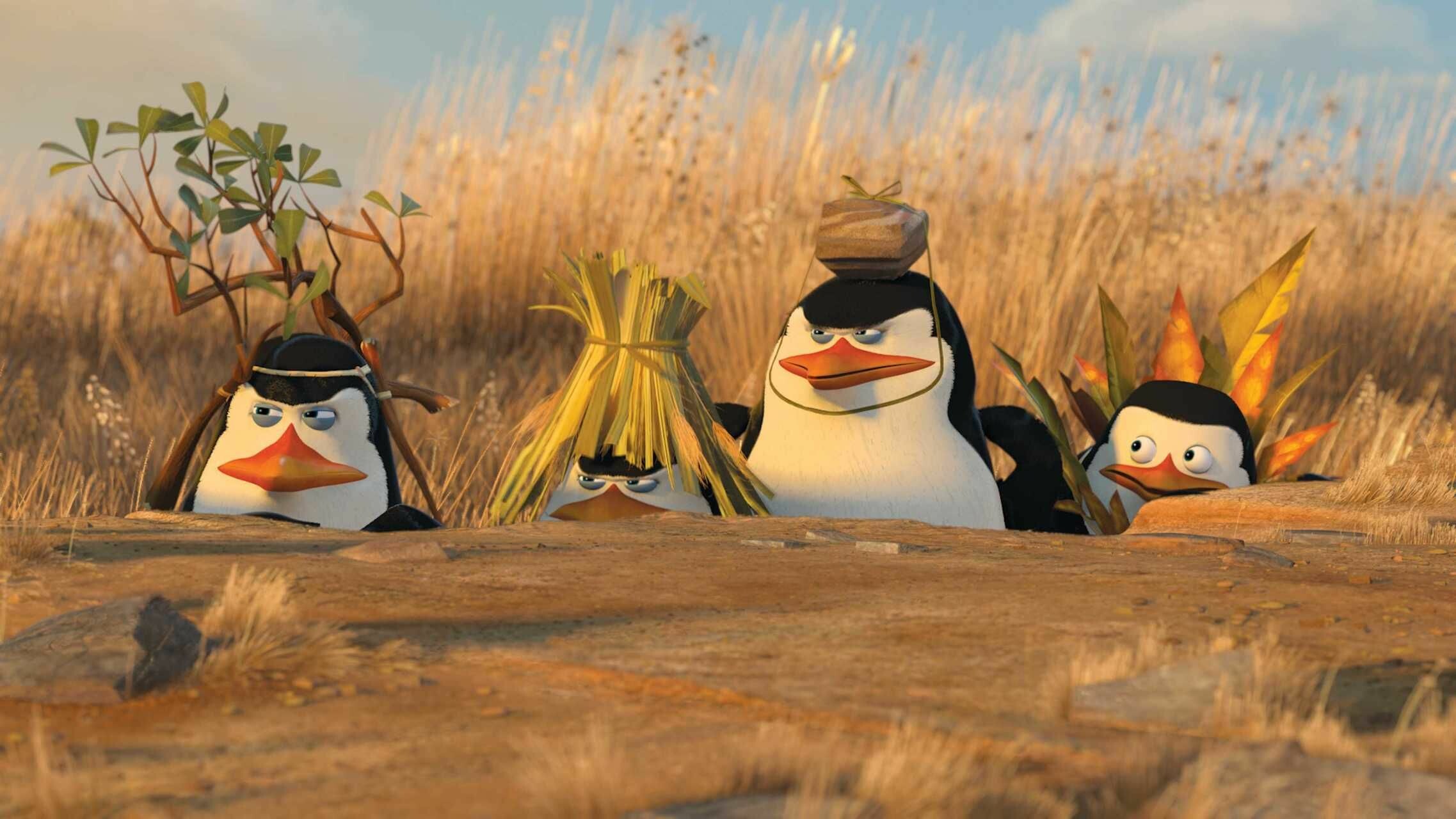 Penguins of Madagascar, Skipper Kowalski Rico Private, Savanna grass camouflage Penguins of Madagascar, Skipper Kowalski Rico Private, Savanna grass camouflage — 2275×1280 HD wallpaper