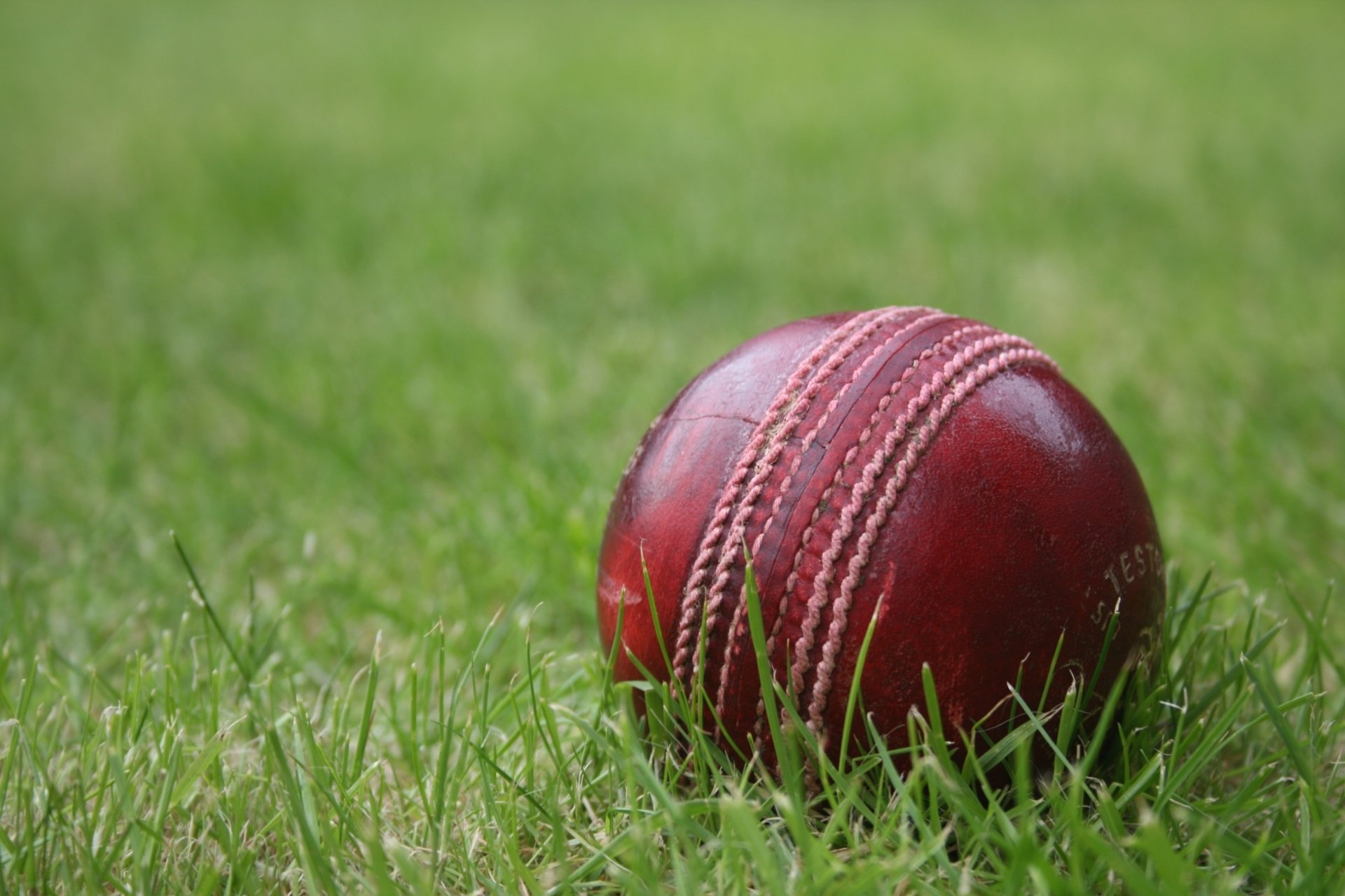 Red leather cricket ball, Stitched seam closeup, Green grass pitch Red leather cricket ball, Stitched seam closeup, Green grass pitch — 1920×1280 HD wallpaper