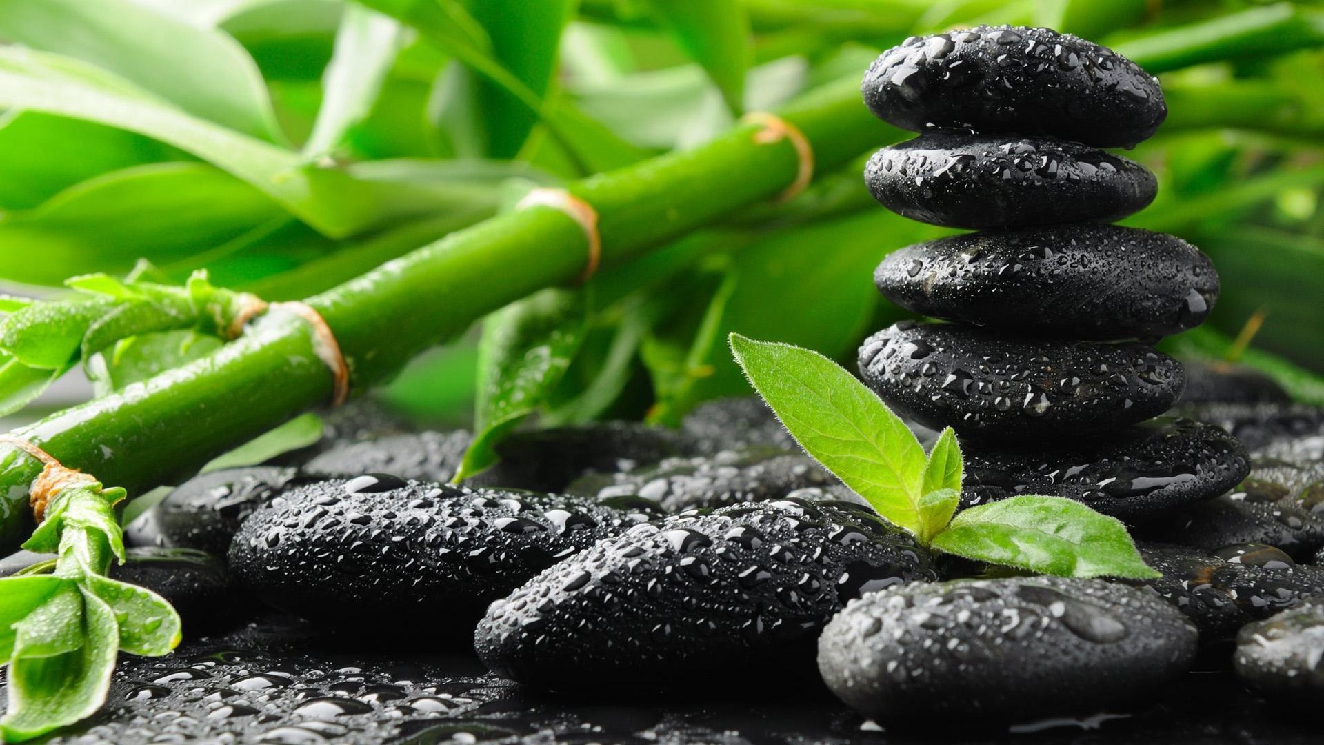 Stacked black zen stones, Green bamboo stalks, Water droplets on leaves — 1920×1080 HD wallpaper