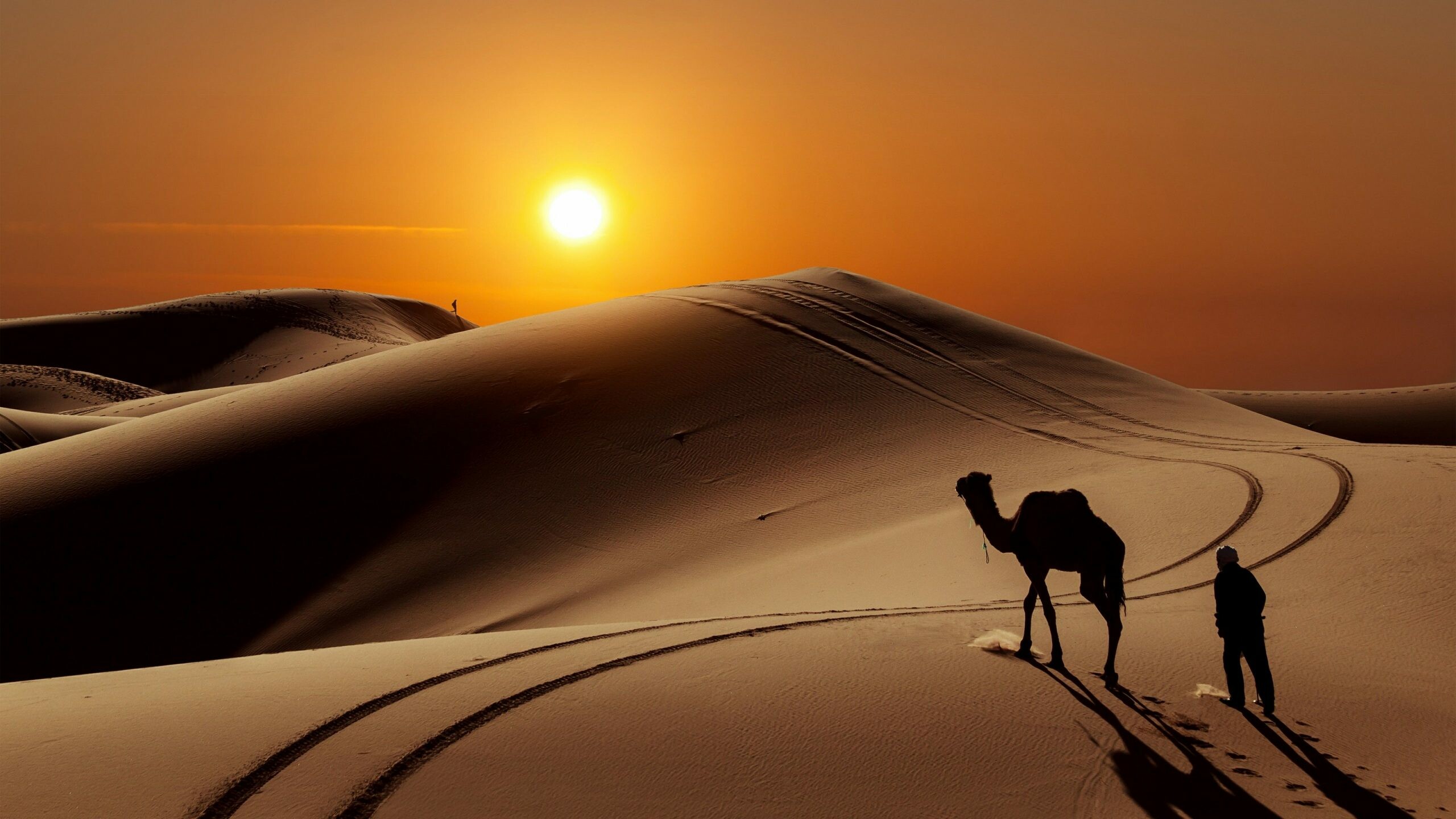 Camel and Bedouin silhouette, Sahara sand dunes, Golden sunset Camel and Bedouin silhouette, Sahara sand dunes, Golden sunset — 2560×1440 HD wallpaper