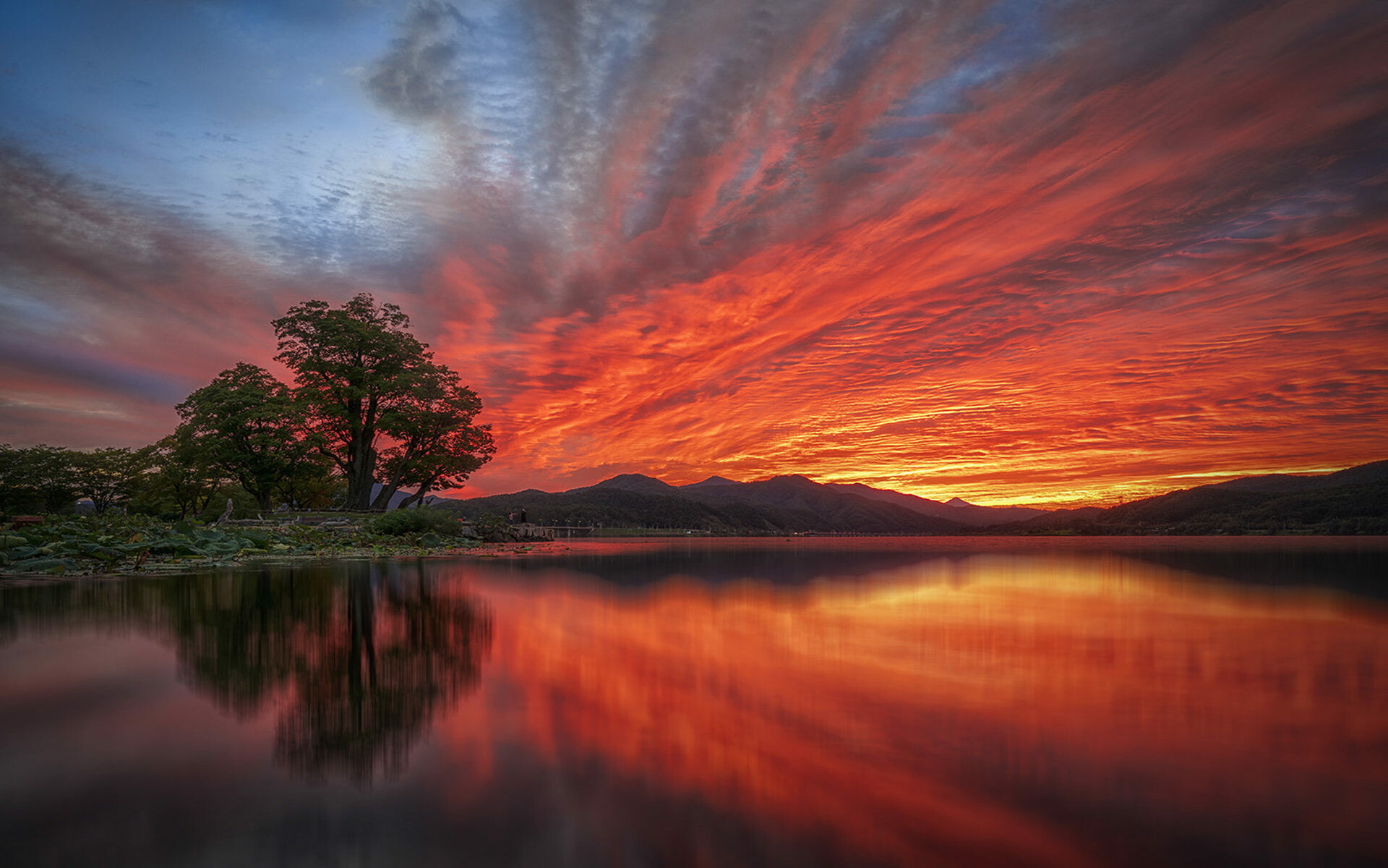 Fiery red sunrise lake, Lone tree silhouette, Mirror water reflection Fiery red sunrise lake, Lone tree silhouette, Mirror water reflection — 1920×1200 HD wallpaper