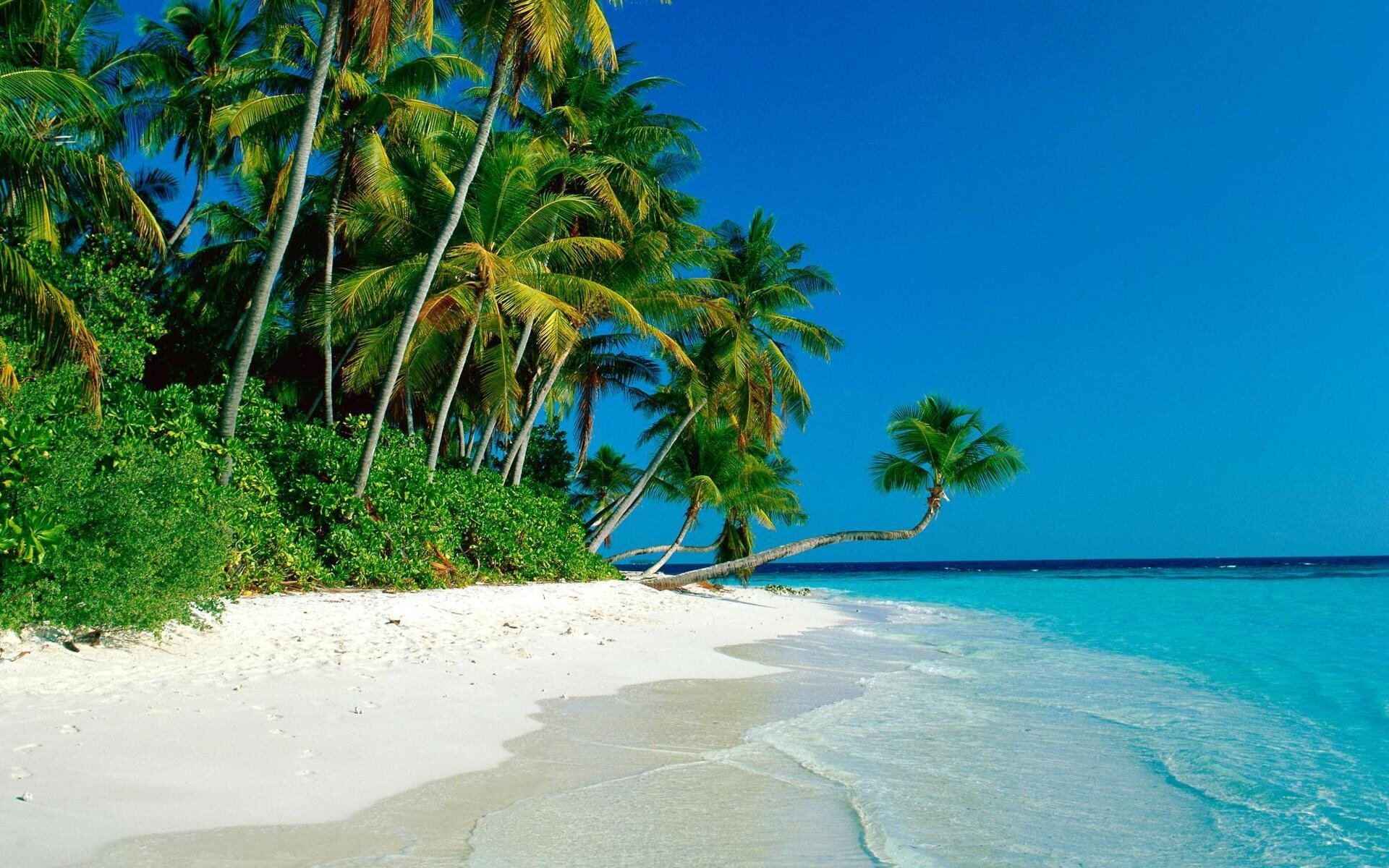 Leaning coconut palms, White sand shore, Turquoise tropical lagoon Leaning coconut palms, White sand shore, Turquoise tropical lagoon — 1920×1200 HD wallpaper