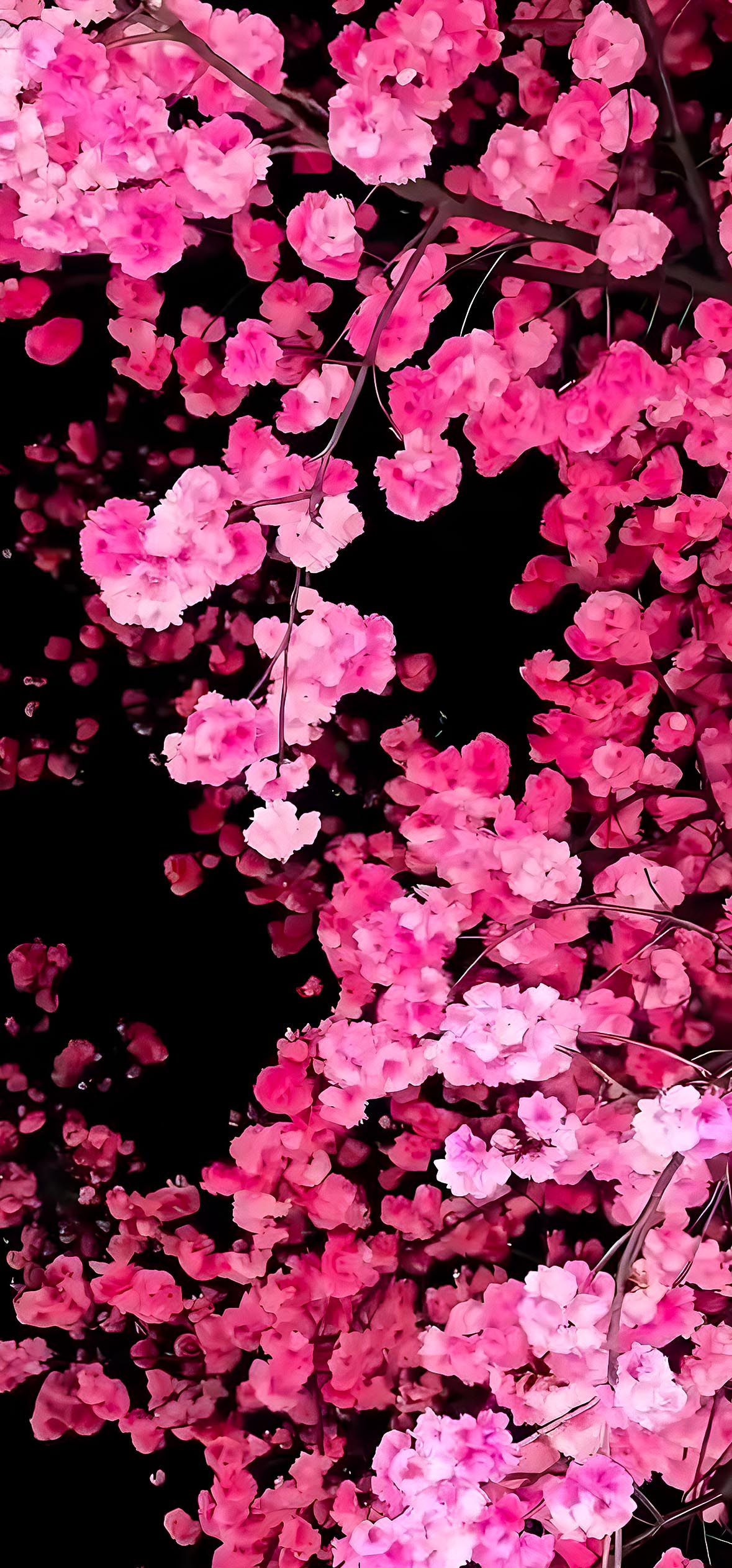 Nature Wallpapers Mobile 4K Nature Wallpapers Mobile 4K — 1179×2526 HD wallpaper
