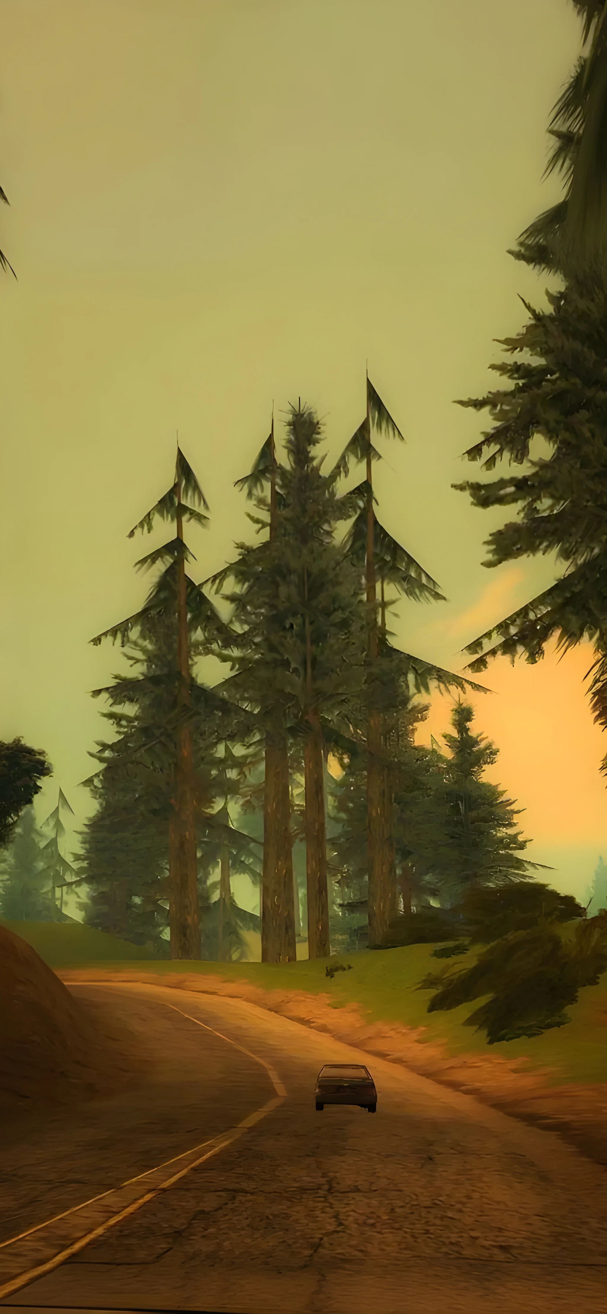 GTA San Andreas Forest Highway Wallpapers 4k iPhone GTA San Andreas Forest Highway Wallpapers 4k iPhone — 2048×4428 HD wallpaper