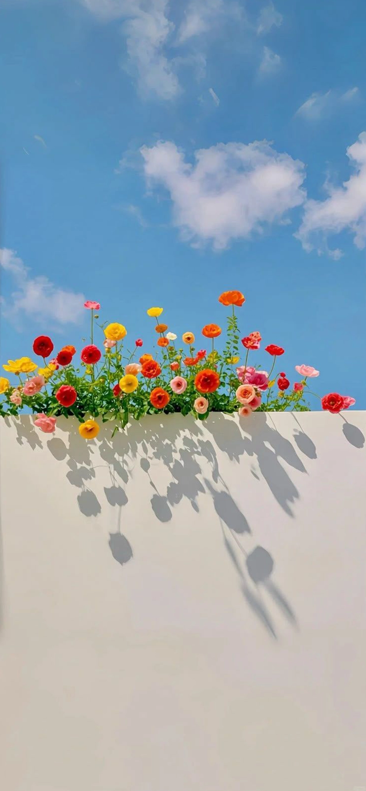 Aesthetic Floral Wall Clock 4K HD iPhone Wallpapers Aesthetic Floral Wall Clock 4K HD iPhone Wallpapers — 1184×2560 HD wallpaper