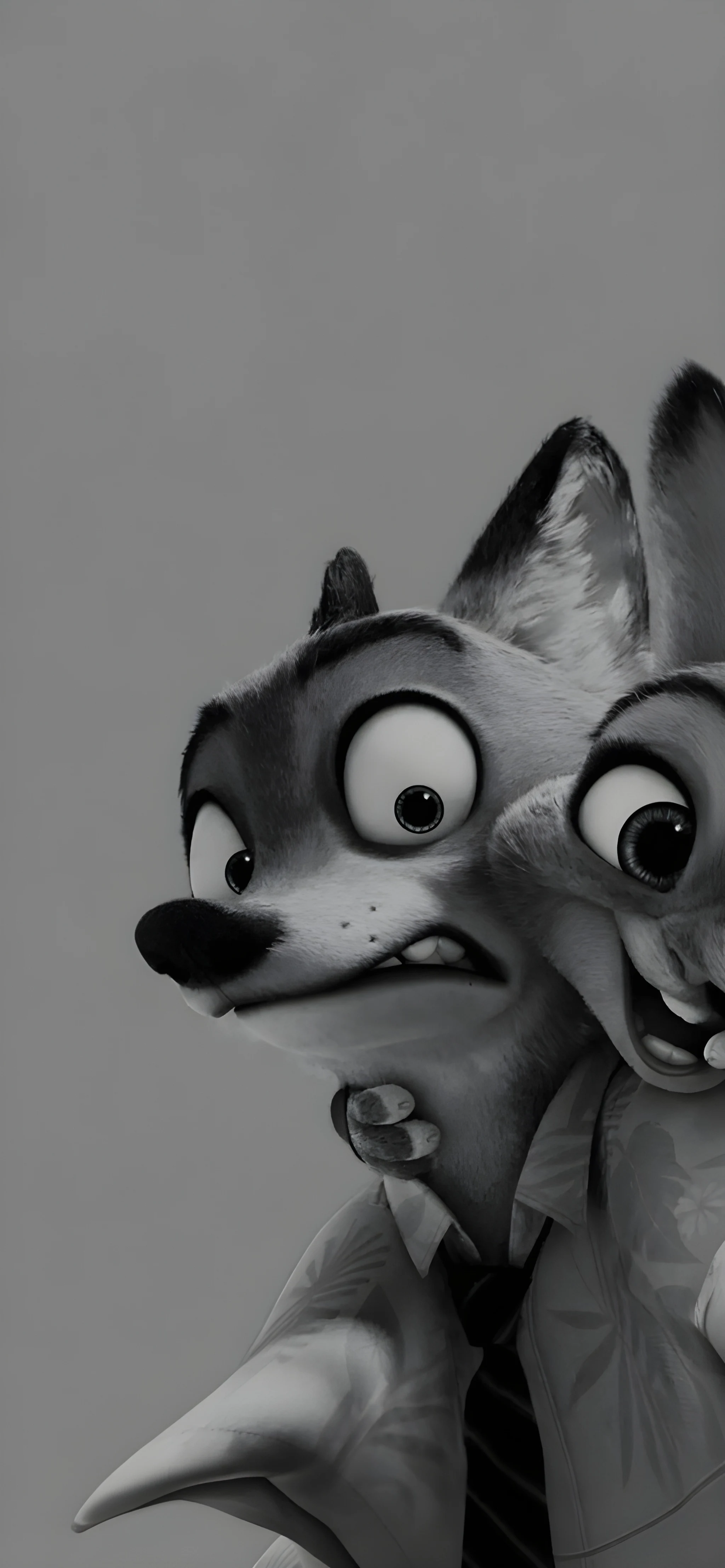 Nick & Judy Expression – Zootopia Black & White Wallpaper Nick & Judy Expression – Zootopia Black & White Wallpaper — 2048×4428 HD wallpaper