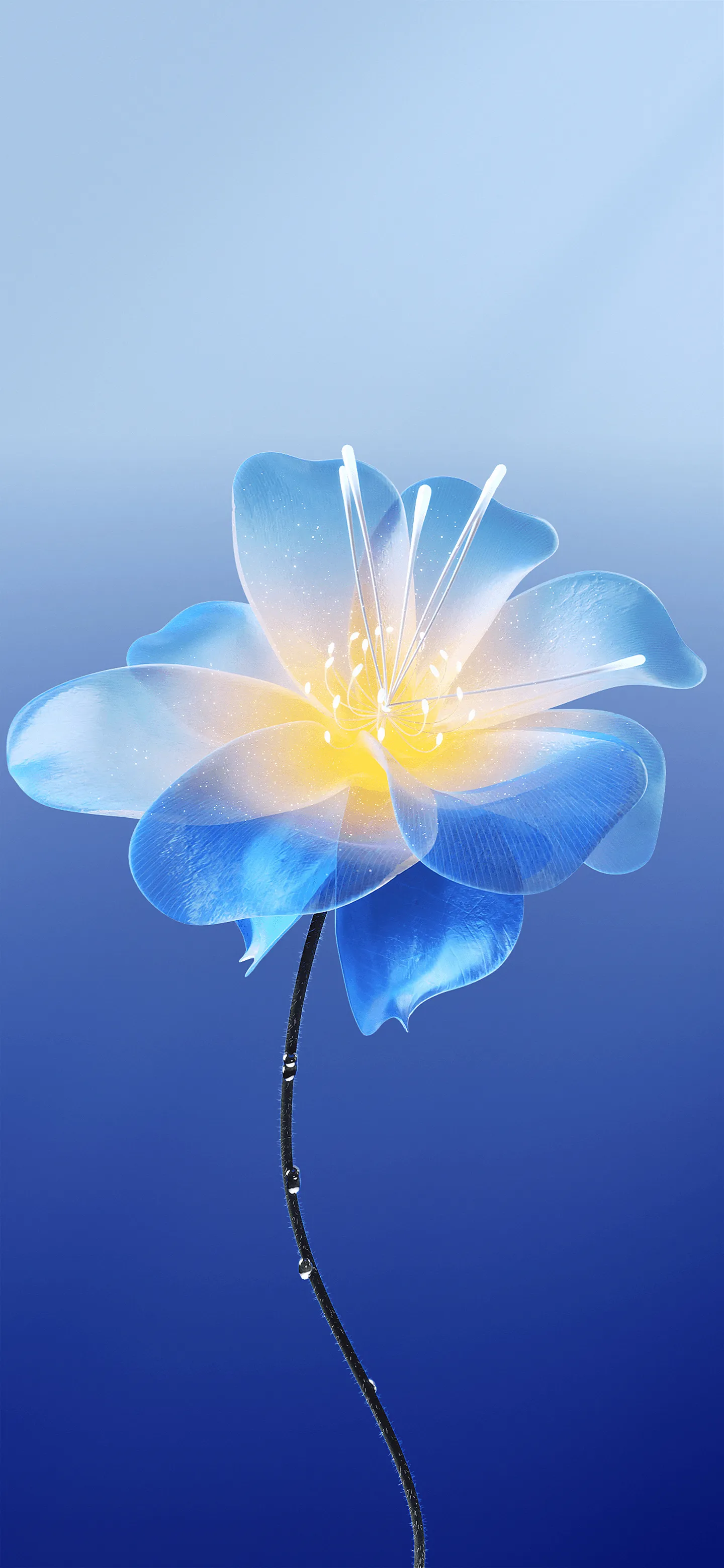 Blue Flower 4K Wallpaper Blue Flower 4K Wallpaper — 1440×3120 HD wallpaper