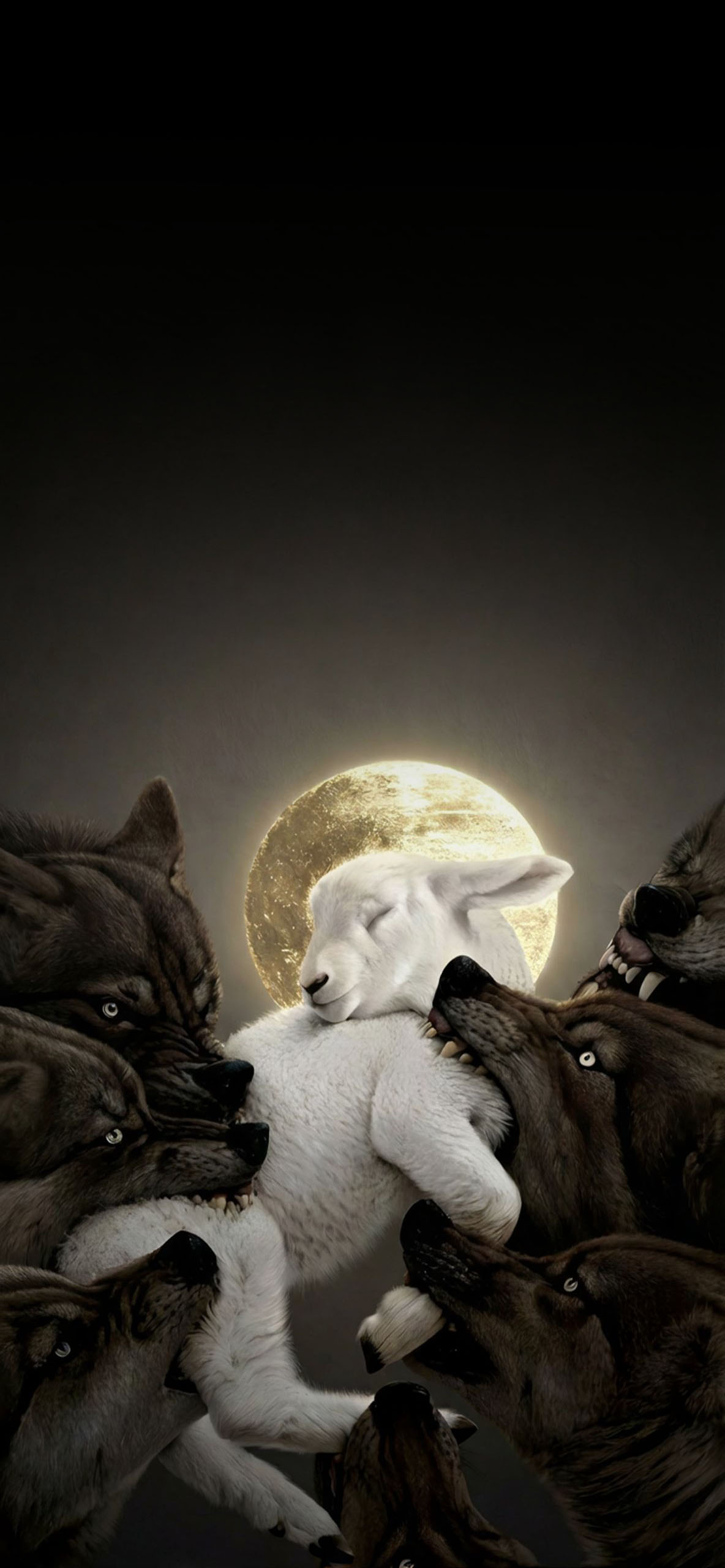 Lamb Wolves 4K Wallpaper HD wallpaper