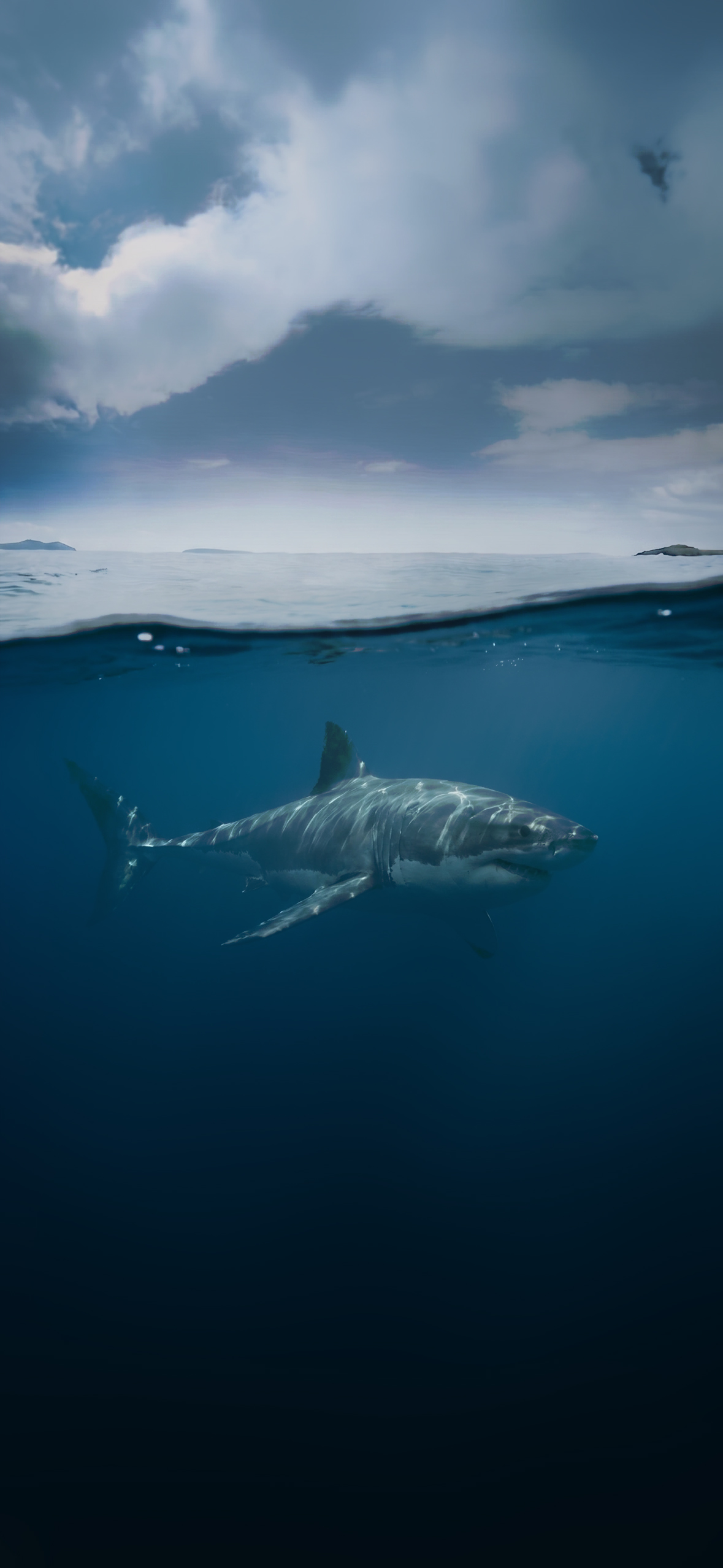 Ocean Great White Shark Wallpaper Ocean Great White Shark Wallpaper — 1179×2556 HD wallpaper