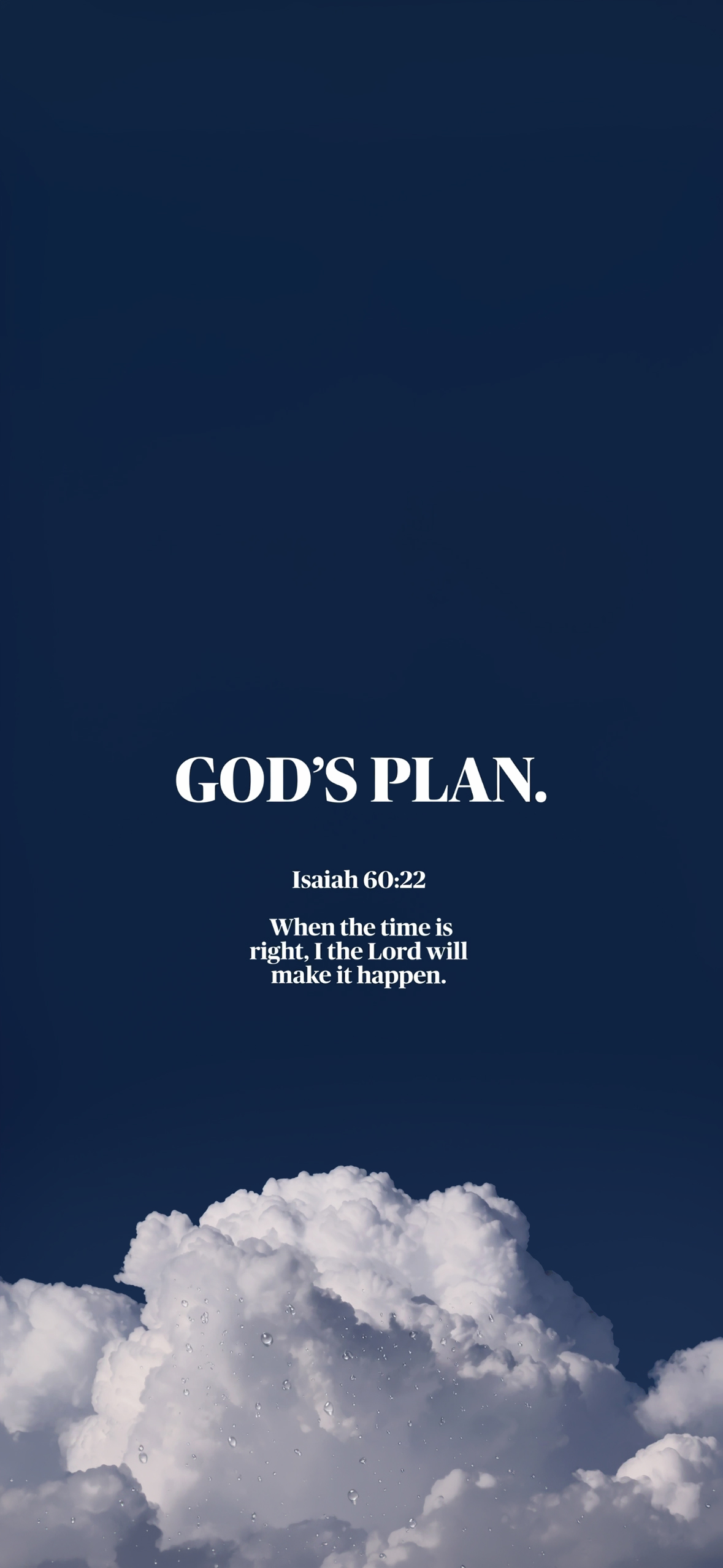 God's Plan Bible Verse Wallpaper God's Plan Bible Verse Wallpaper — 1179×2556 HD wallpaper
