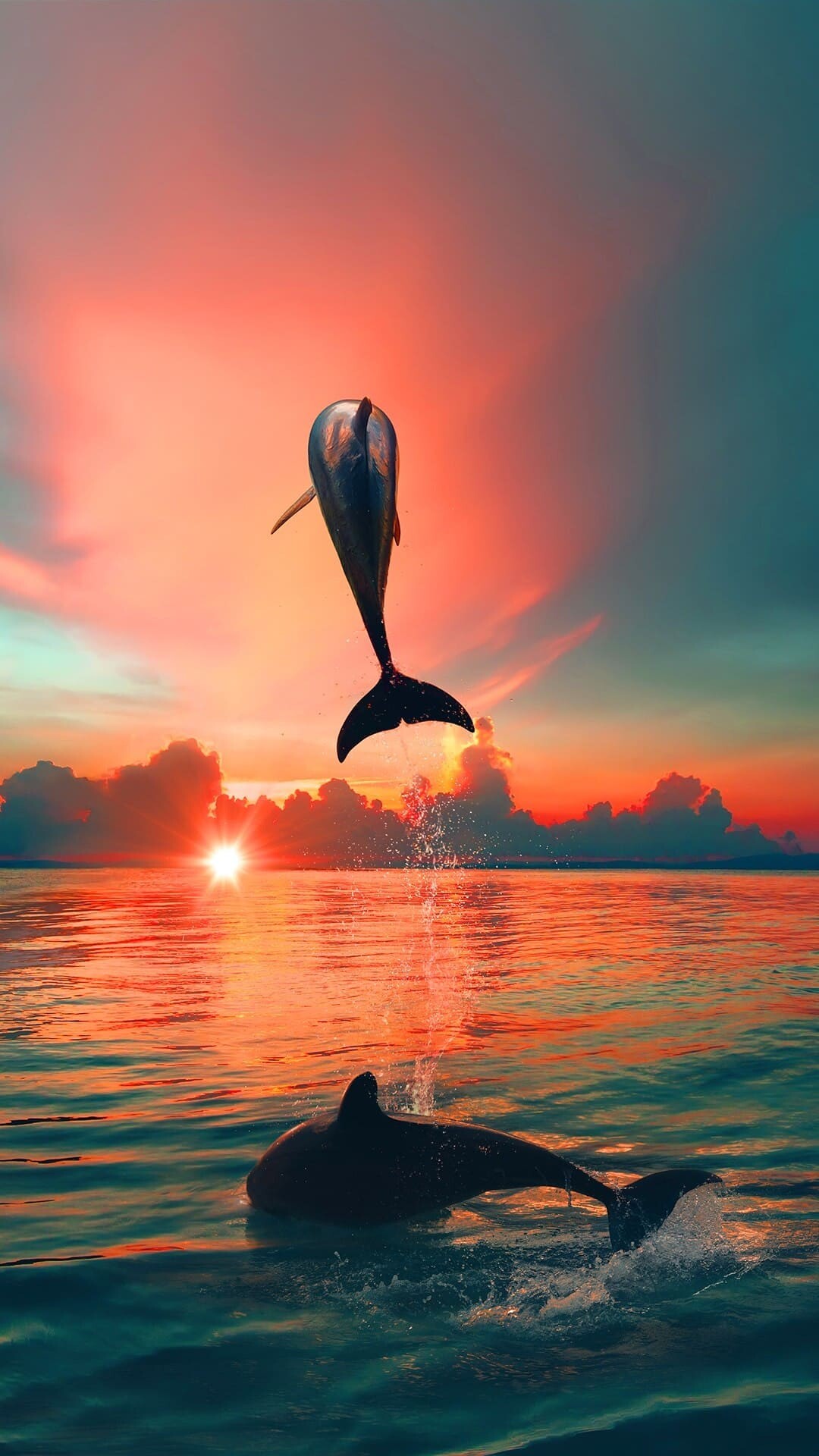 Leaping bottlenose dolphin, Ocean surface swim, Sunset horizon Leaping bottlenose dolphin, Ocean surface swim, Sunset horizon — 1080×1920 HD wallpaper