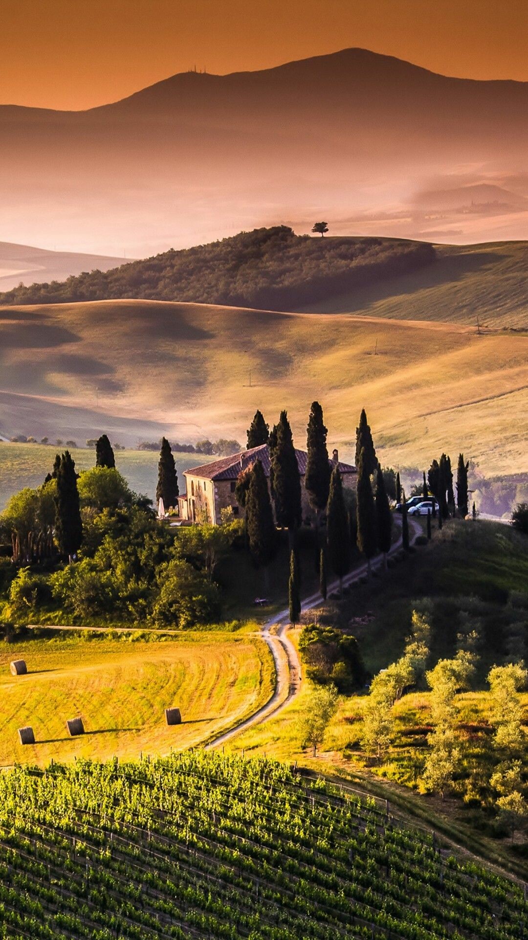 Tuscany Val d'Orcia, Cypress-ringed farmhouse, Hazy sunset vineyards Tuscany Val d'Orcia, Cypress-ringed farmhouse, Hazy sunset vineyards — 1080×1920 HD wallpaper