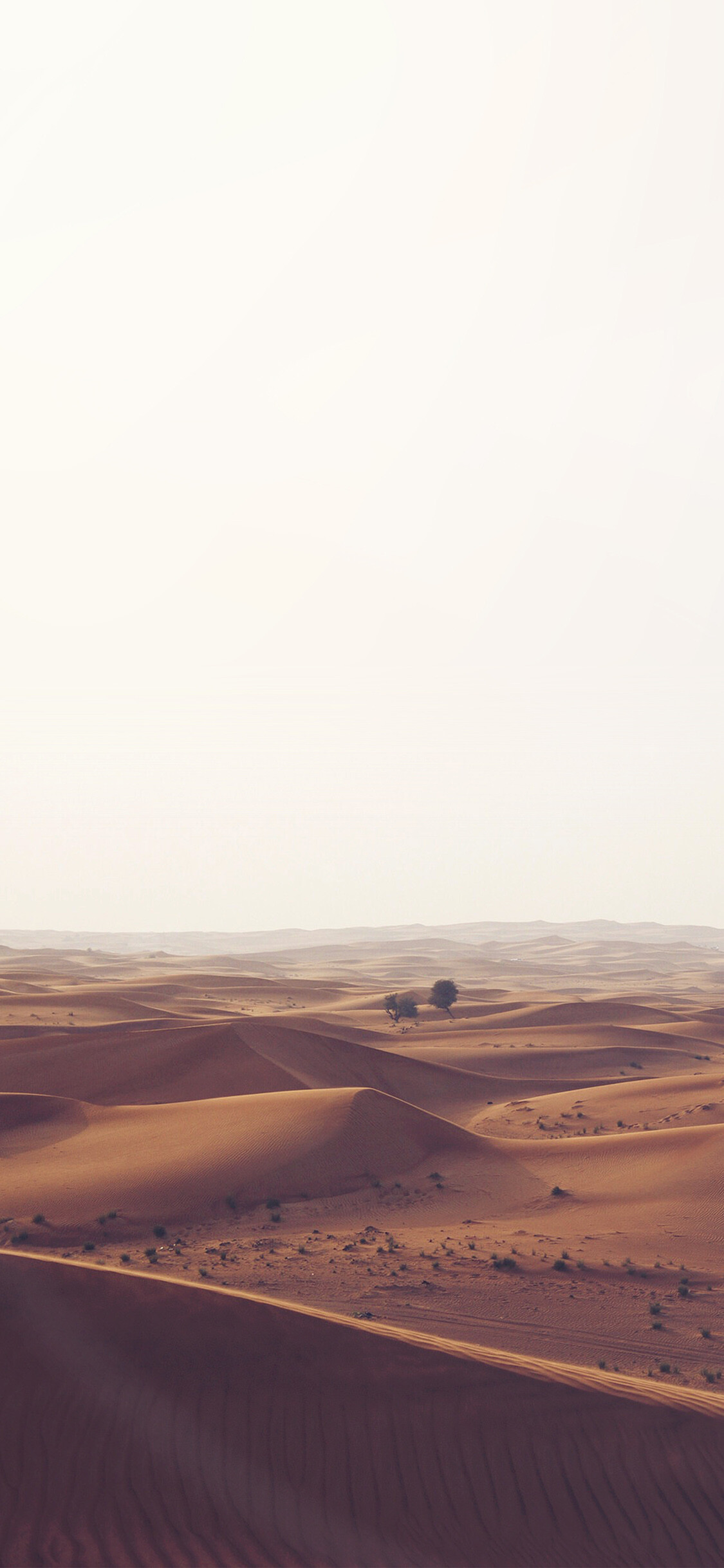 Rolling sand dunes, Lone desert tree, Hazy pale sky Rolling sand dunes, Lone desert tree, Hazy pale sky — 1125×2436 HD wallpaper