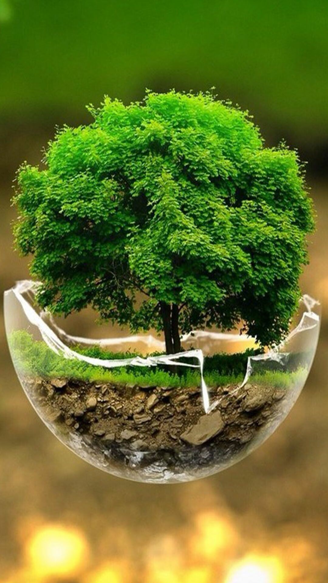Tree in broken glass, Moss terrarium, Green bokeh backdrop Tree in broken glass, Moss terrarium, Green bokeh backdrop — 1080×1920 HD wallpaper