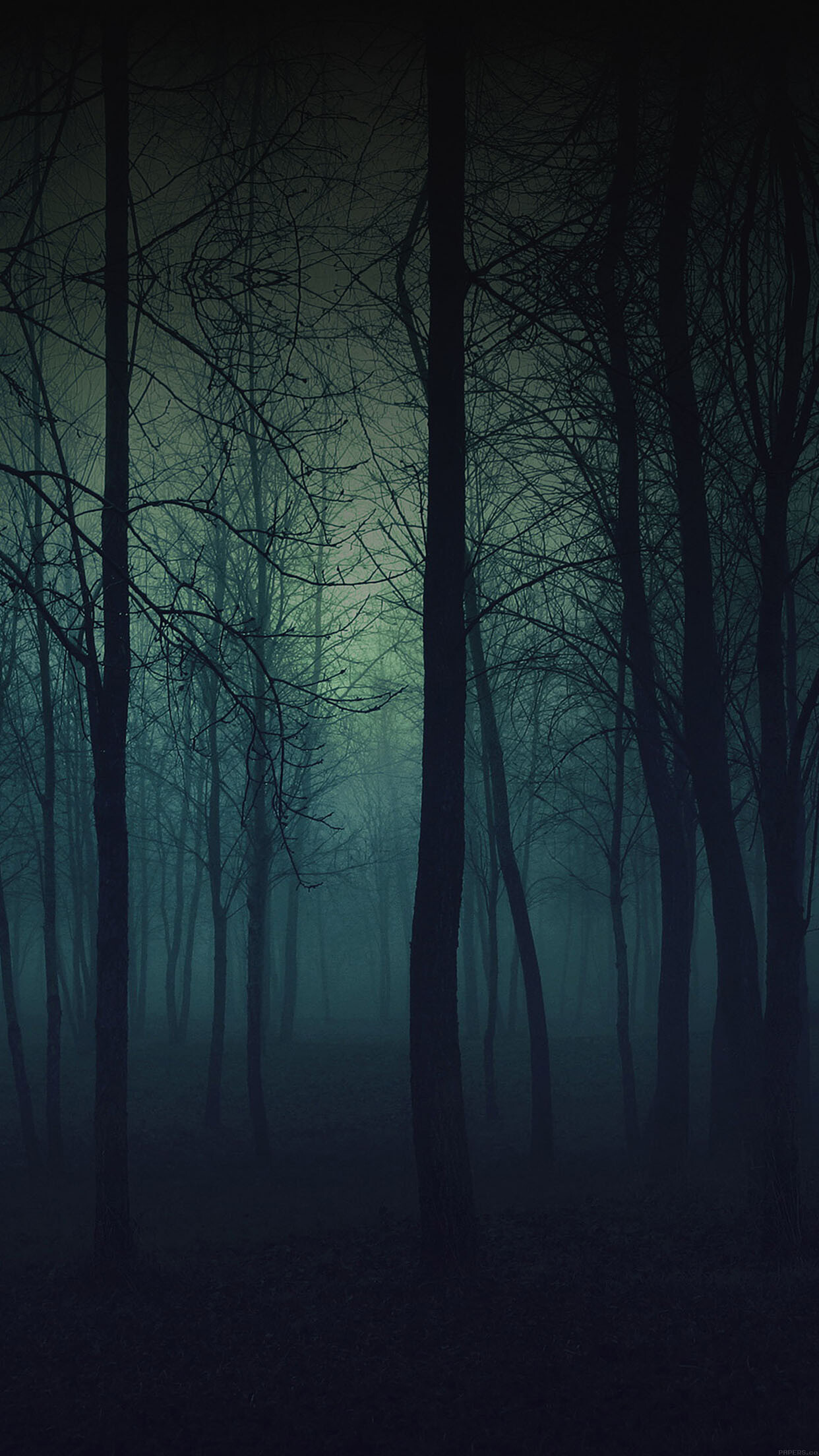 Dark misty forest, Bare tree trunks, Teal green fog Dark misty forest, Bare tree trunks, Teal green fog — 1242×2208 HD wallpaper