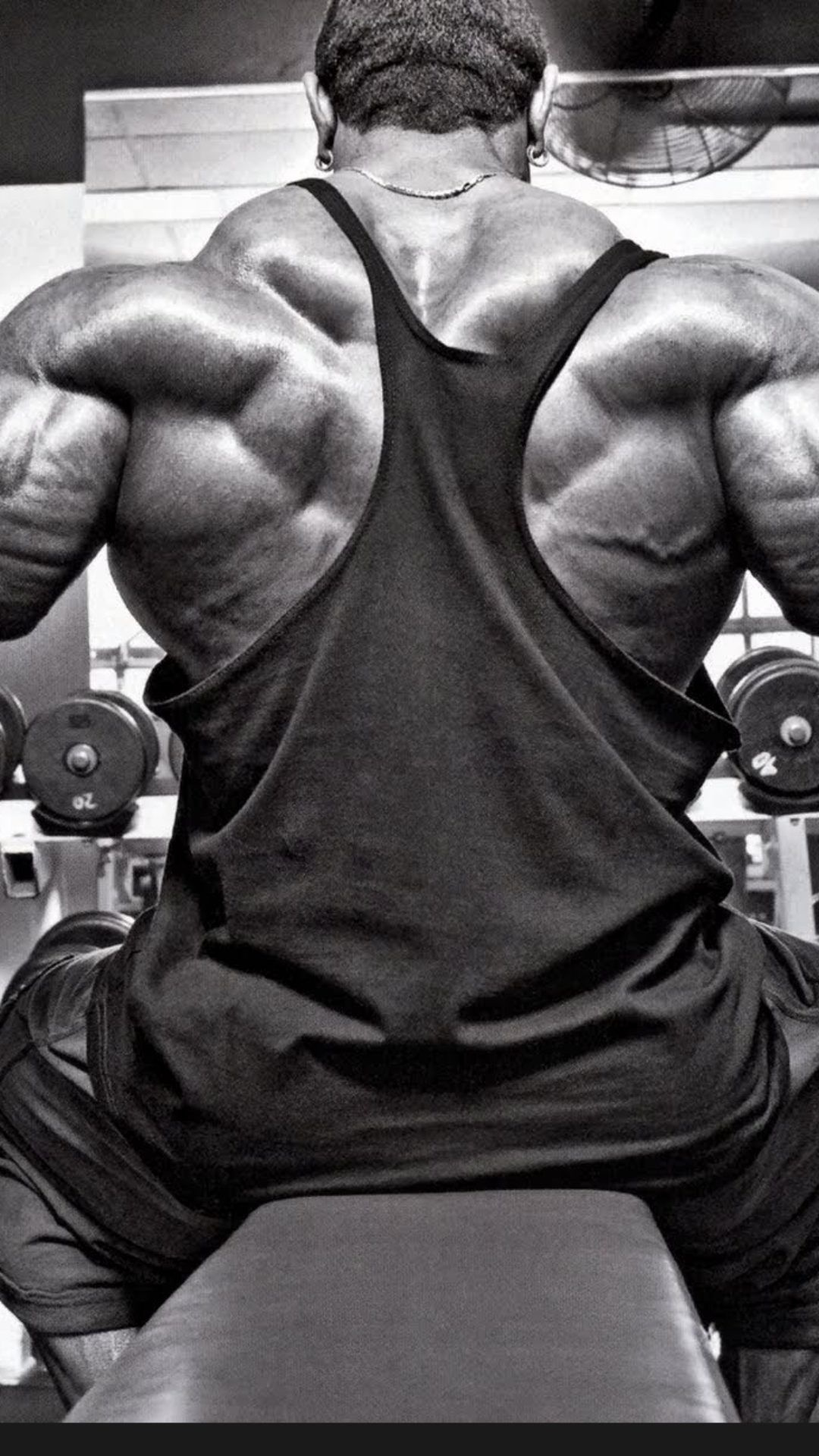 Muscular bodybuilder back, Black stringer tank top, Gym dumbbells rack Muscular bodybuilder back, Black stringer tank top, Gym dumbbells rack — 1080×1920 HD wallpaper