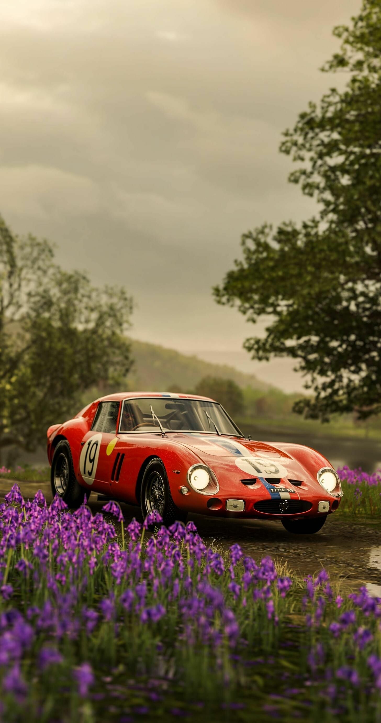 Ferrari 250 GTO, Racing number 19, Purple wildflower meadow Ferrari 250 GTO, Racing number 19, Purple wildflower meadow — 1456×2761 HD wallpaper