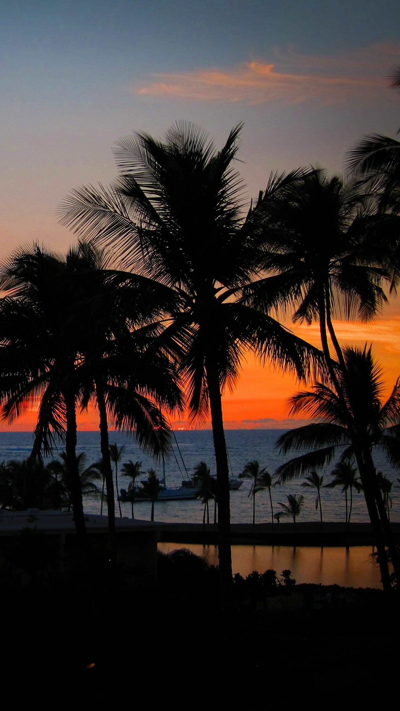 Silhouetted coconut palms, Tropical ocean sunset, Small boat on horizon Silhouetted coconut palms, Tropical ocean sunset, Small boat on horizon — 1350×2400 HD wallpaper