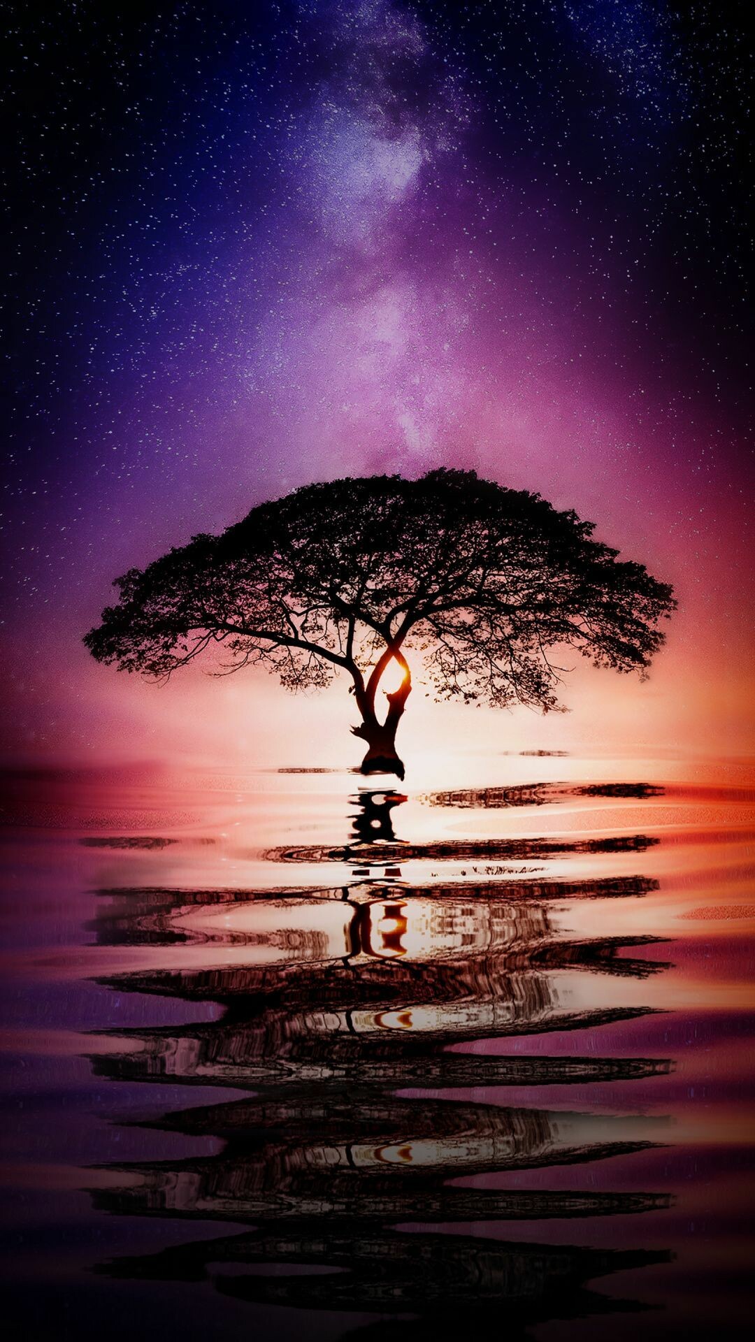 Silhouetted acacia tree, Milky Way sky, Water reflection sunset Silhouetted acacia tree, Milky Way sky, Water reflection sunset — 1080×1920 HD wallpaper