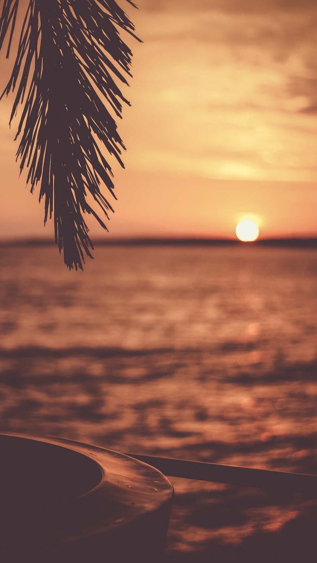 Setting sun over sea, Silhouetted pine branch, Warm sepia dusk Setting sun over sea, Silhouetted pine branch, Warm sepia dusk — 1080×1920 HD wallpaper